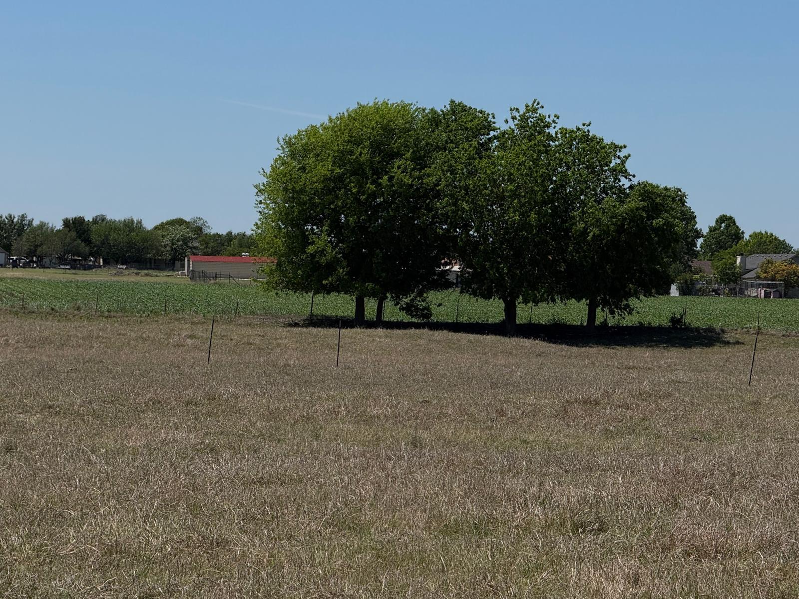 900 County Rd 124, Georgetown, TX 78626