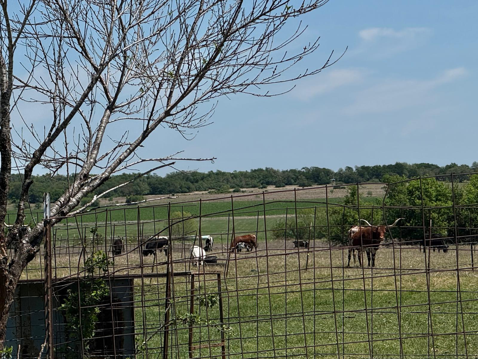 900 County Rd 124, Georgetown, TX 78626