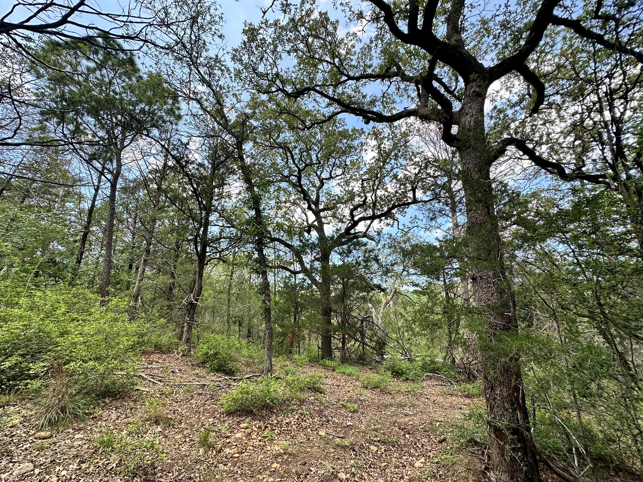 00 Oah Ct, Bastrop, TX 78602