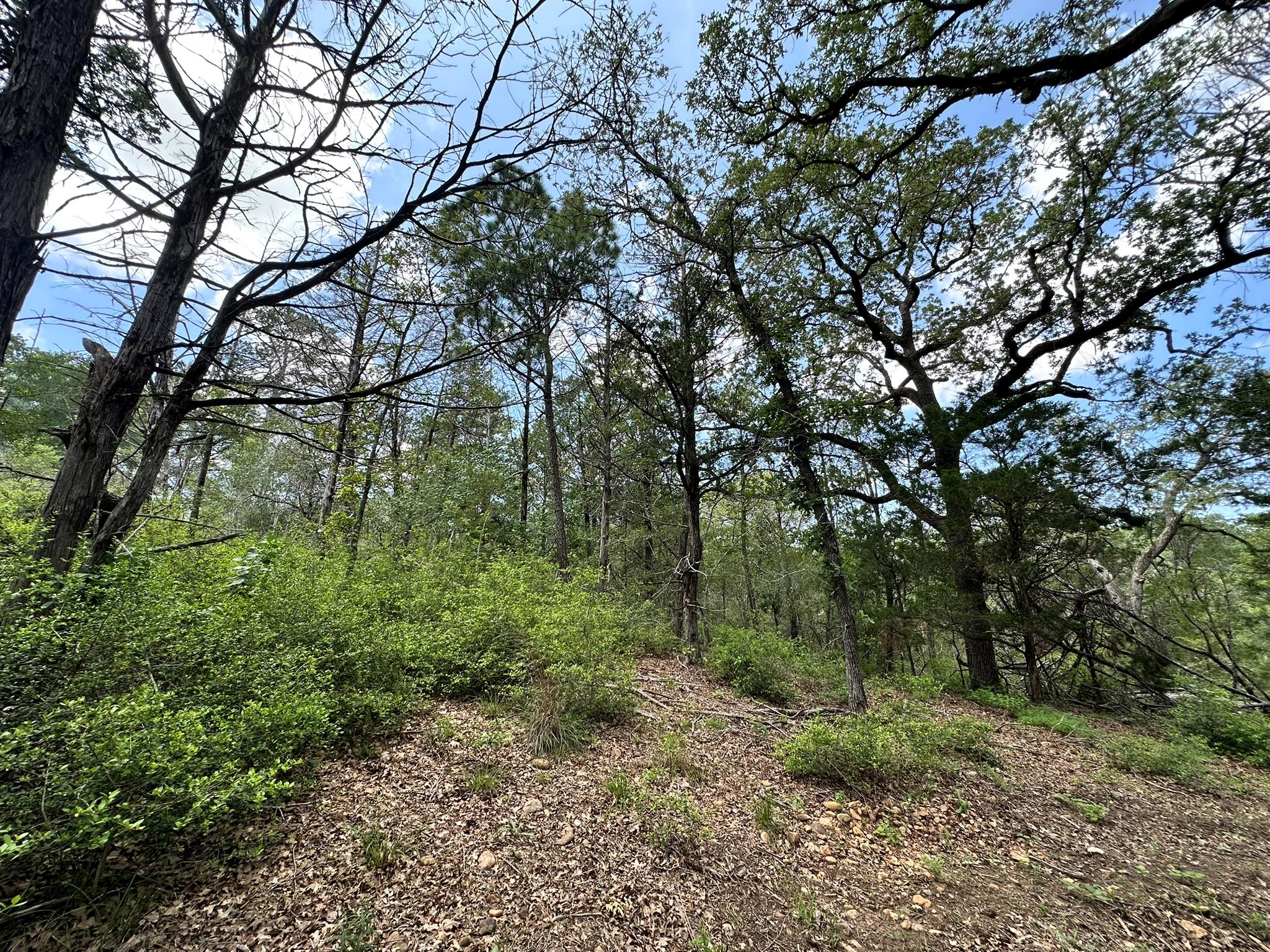 000 Oah Ct, Bastrop, TX 78602