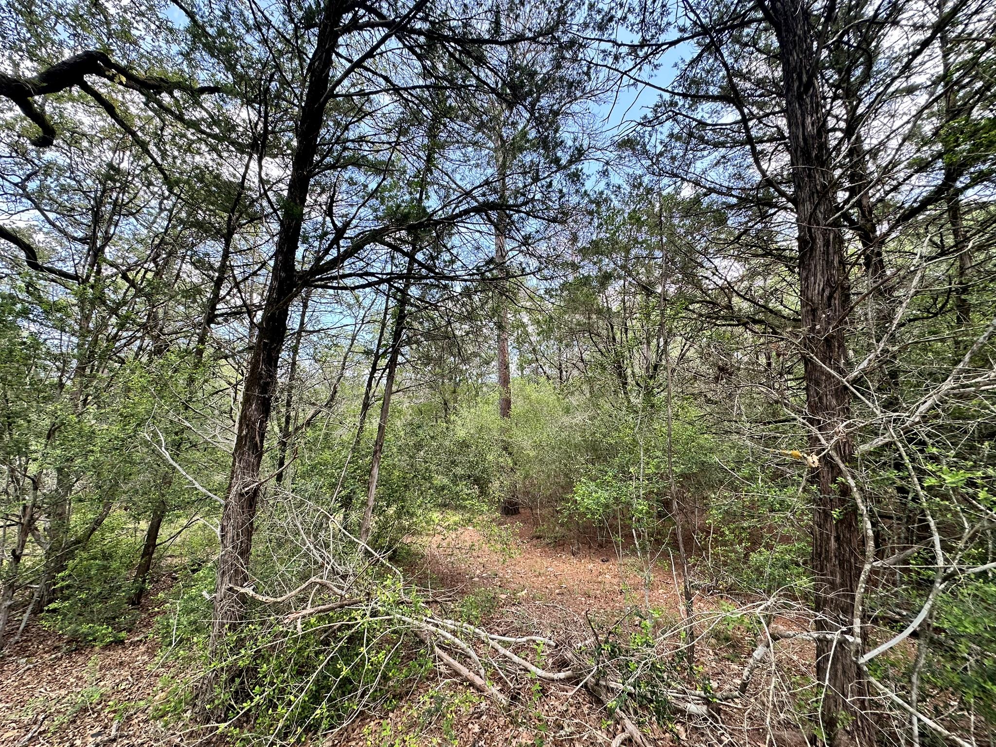 000 Oah Ct, Bastrop, TX 78602