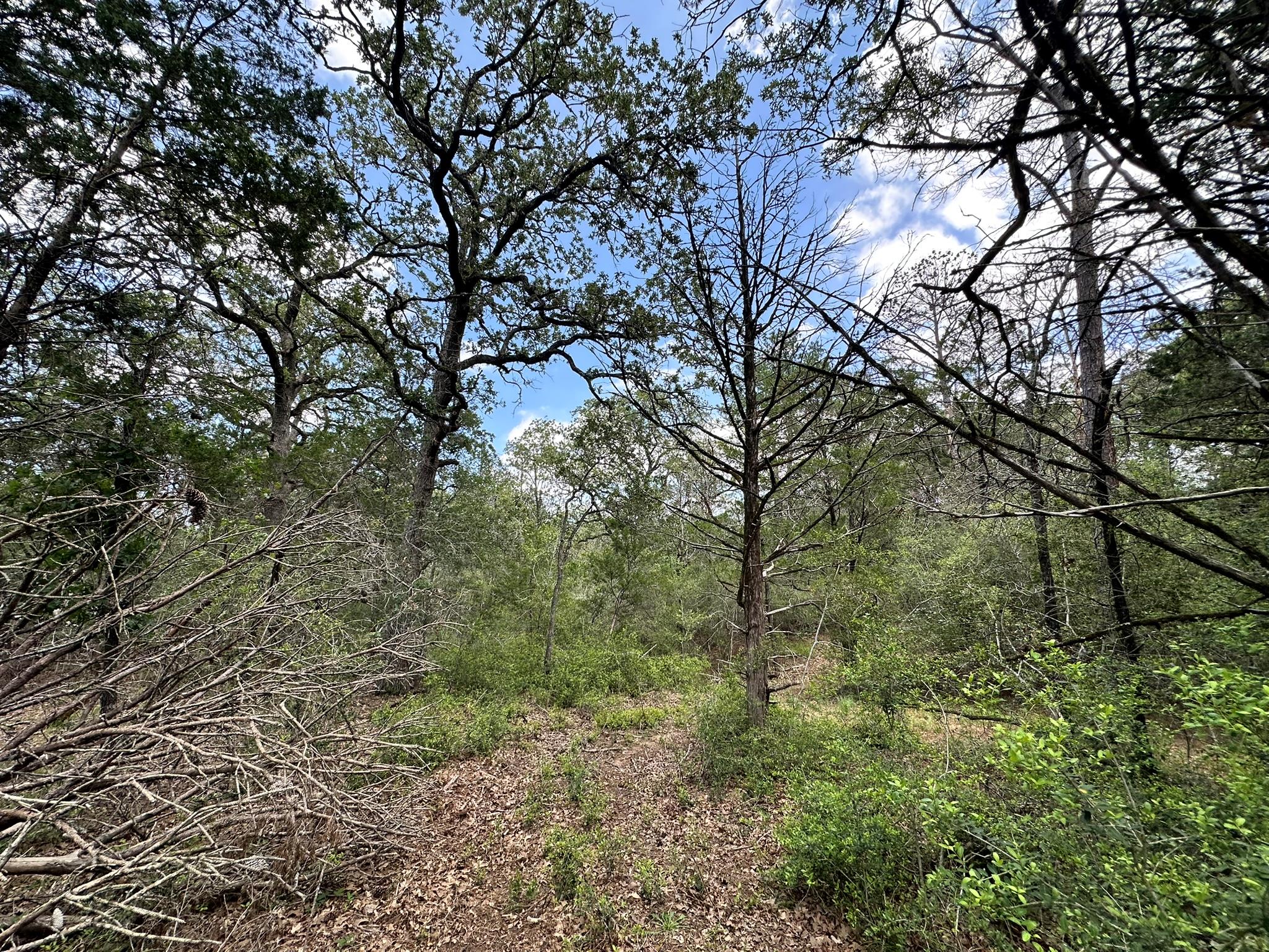 000 Oah Ct, Bastrop, TX 78602
