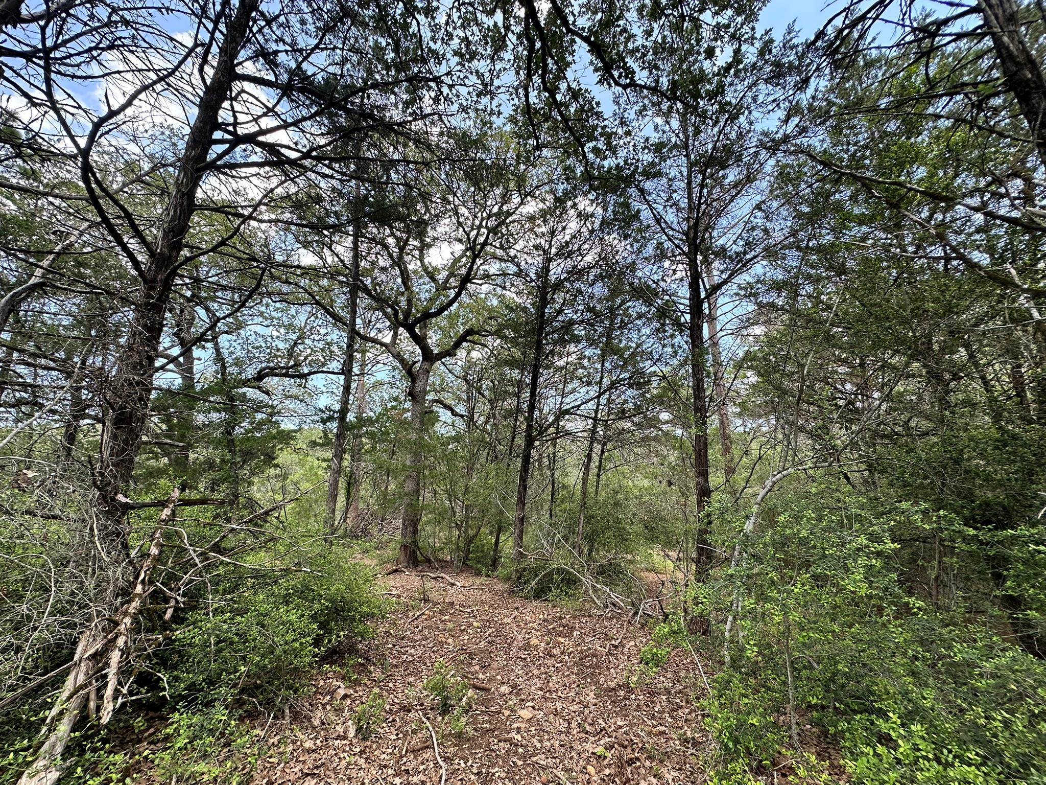 000 Oah Ct, Bastrop, TX 78602