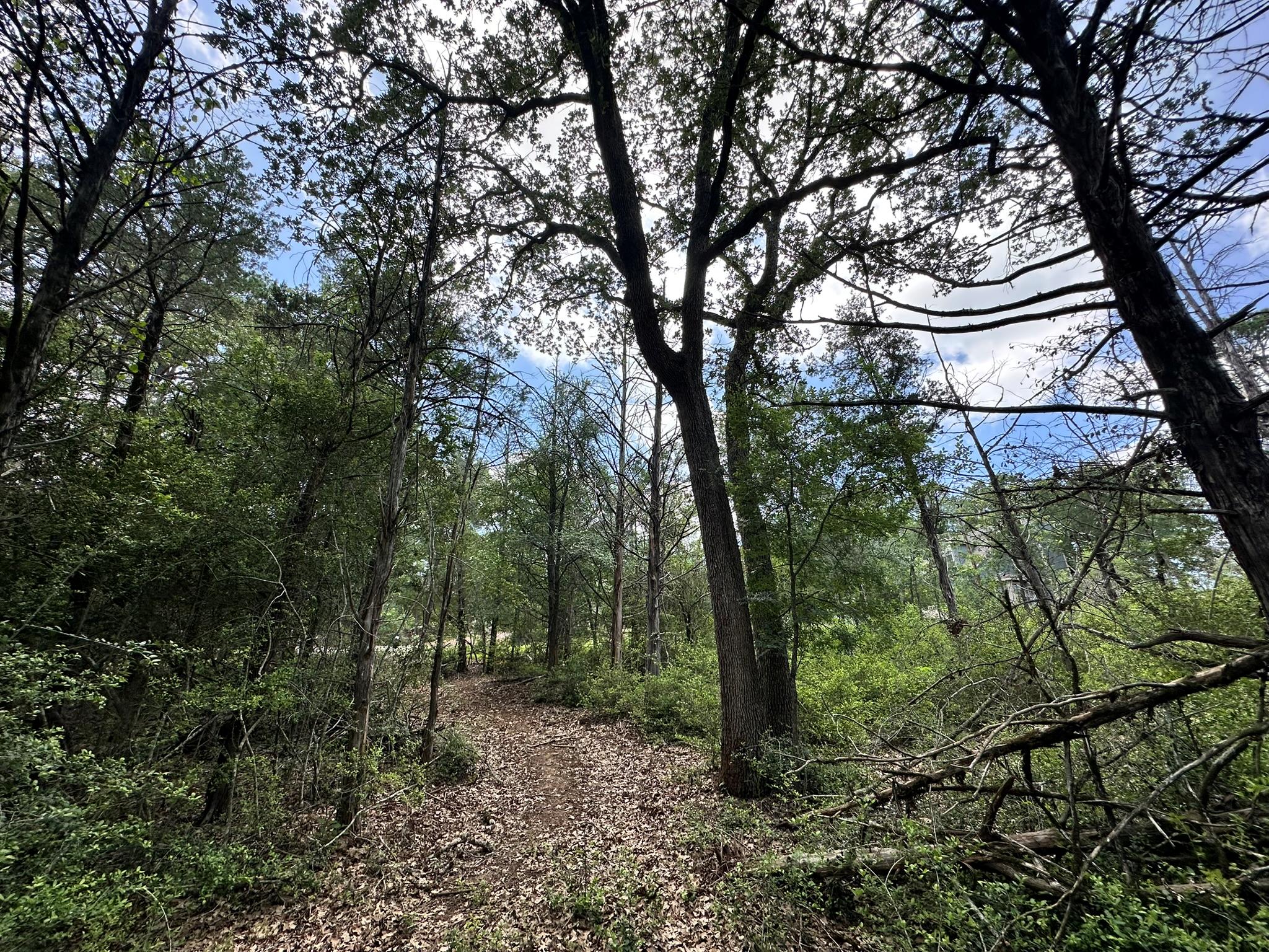 TBD Oah Ct, Bastrop, TX 78602