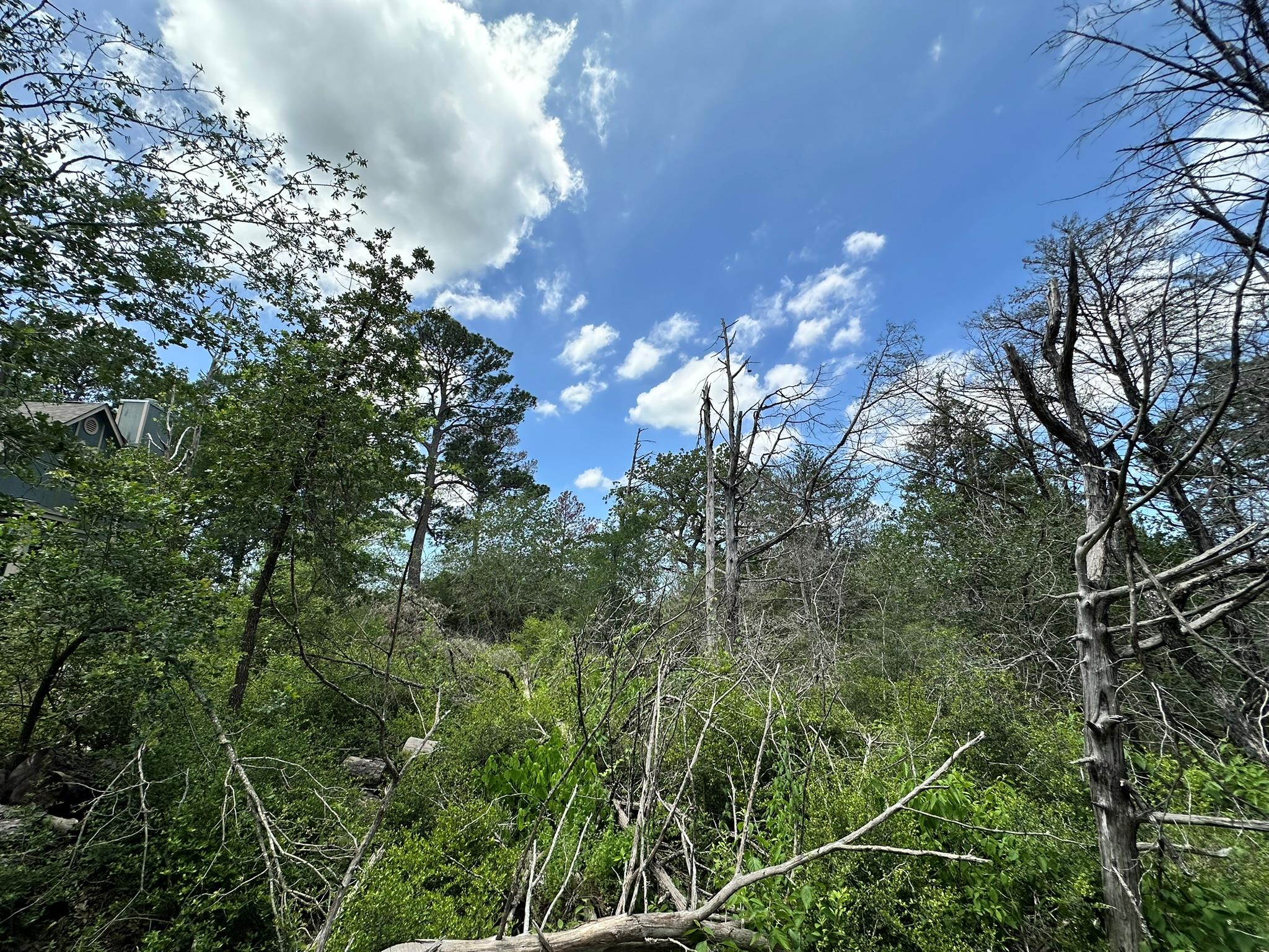 TBD Oah Ct, Bastrop, TX 78602