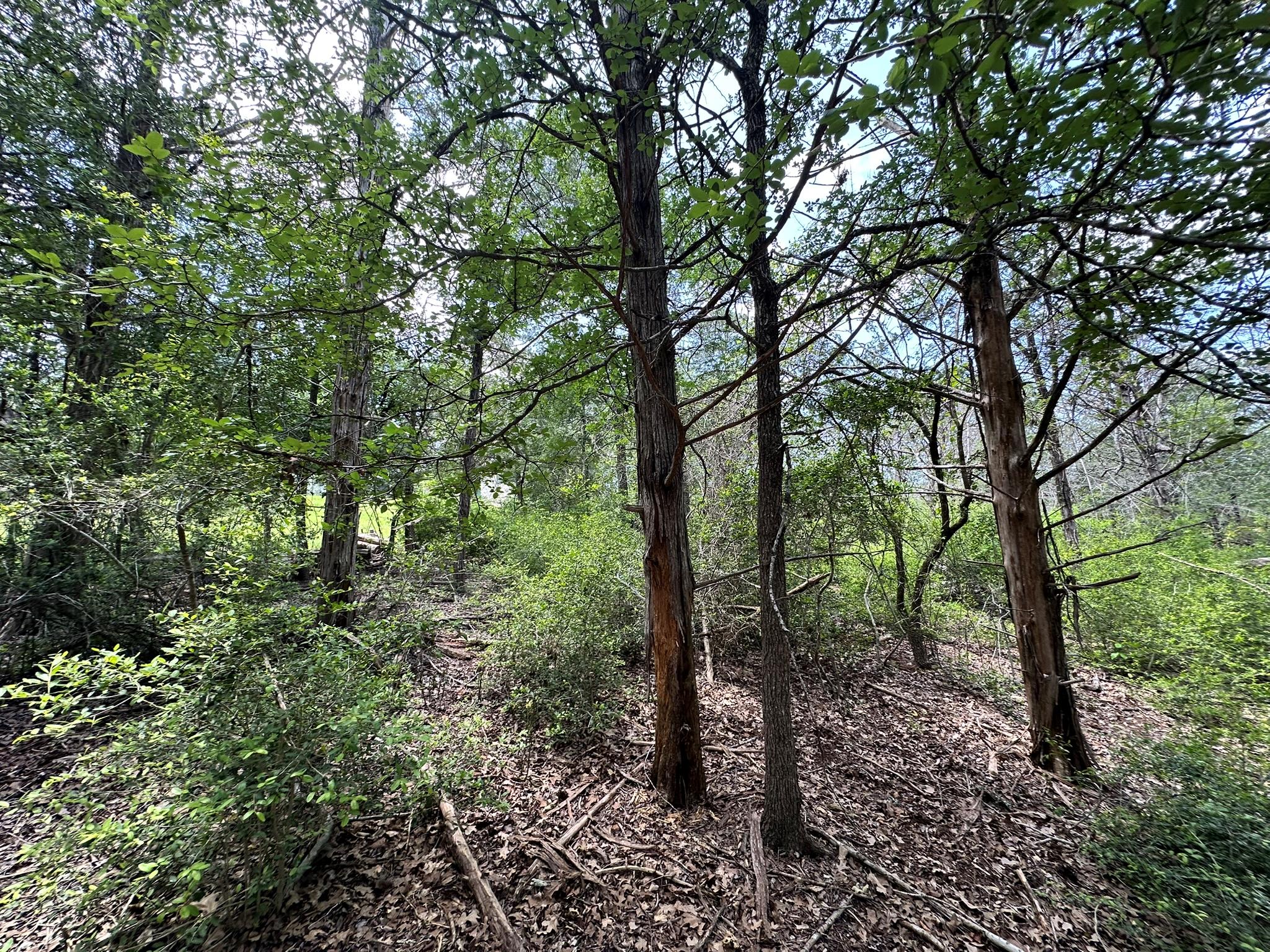 TBD Oah Ct, Bastrop, TX 78602