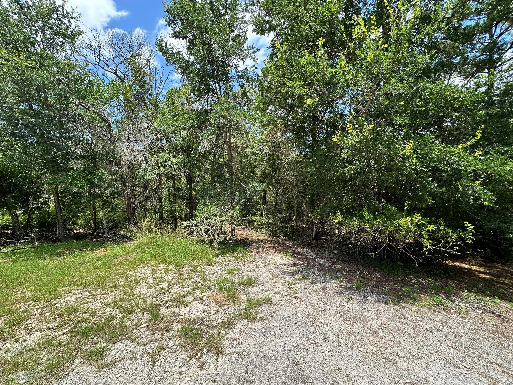 TBD Oah Ct, Bastrop, TX 78602