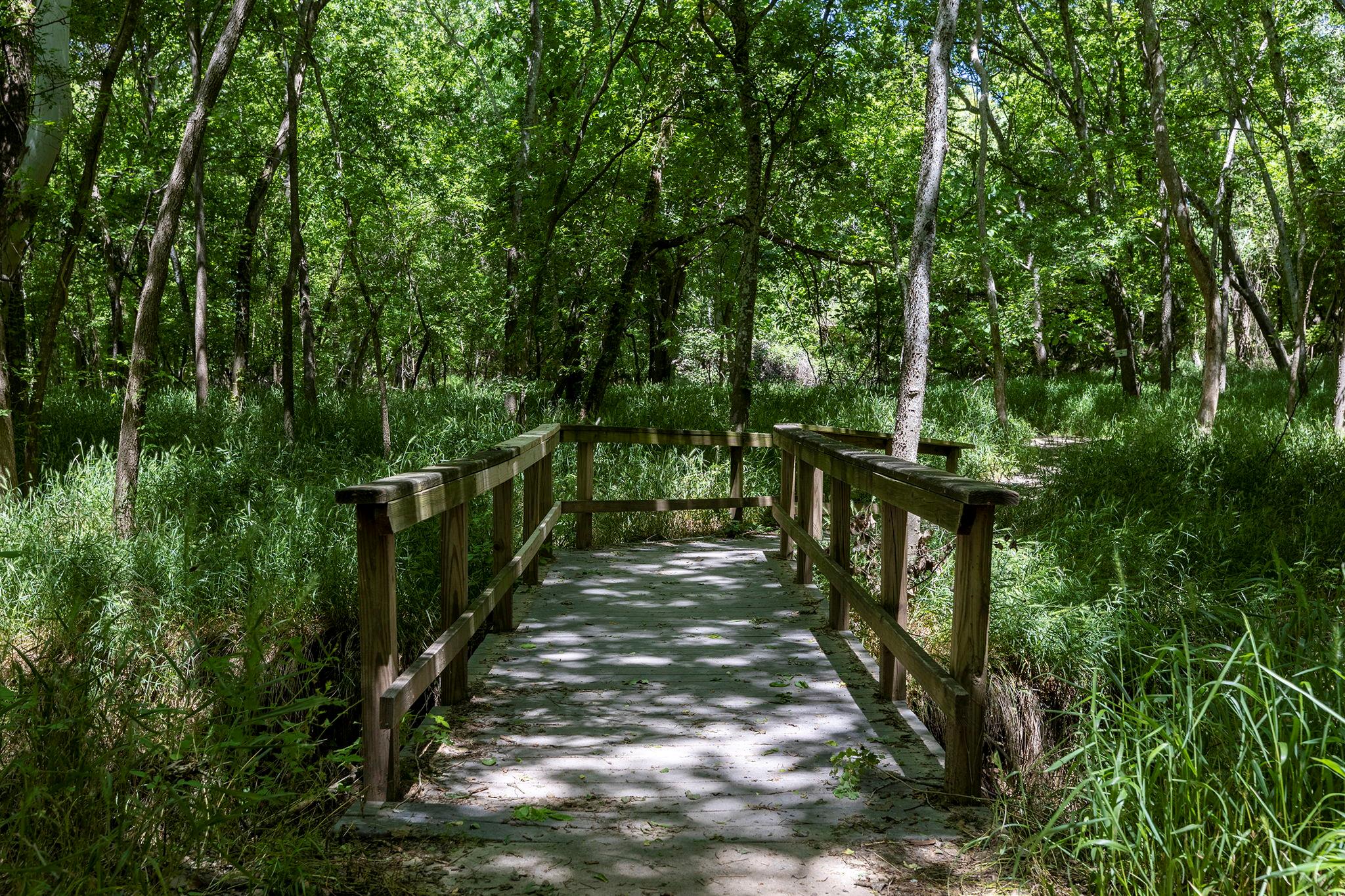 TBD Oah Ct, Bastrop, TX 78602