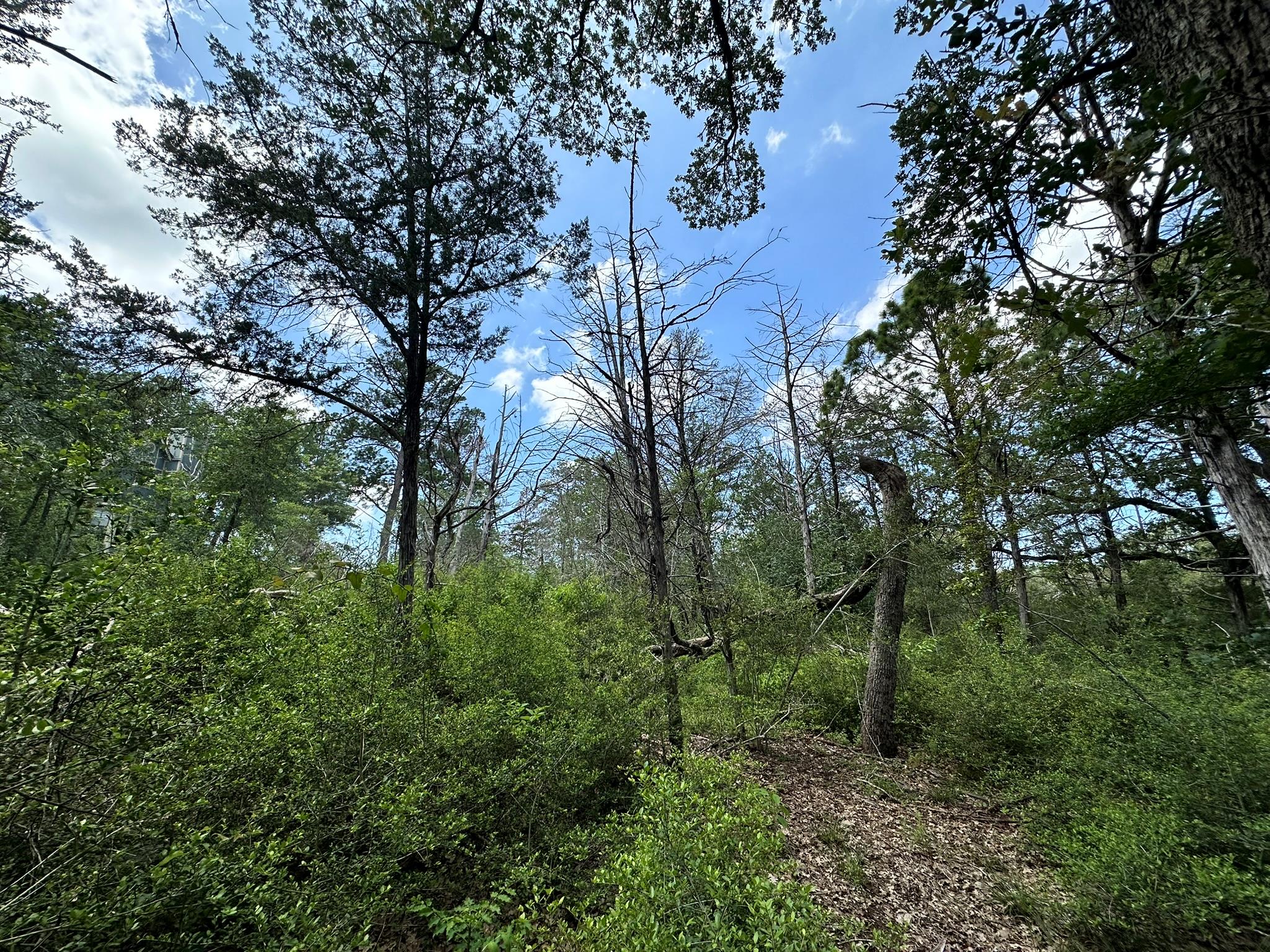 TBD Oah Ct, Bastrop, TX 78602