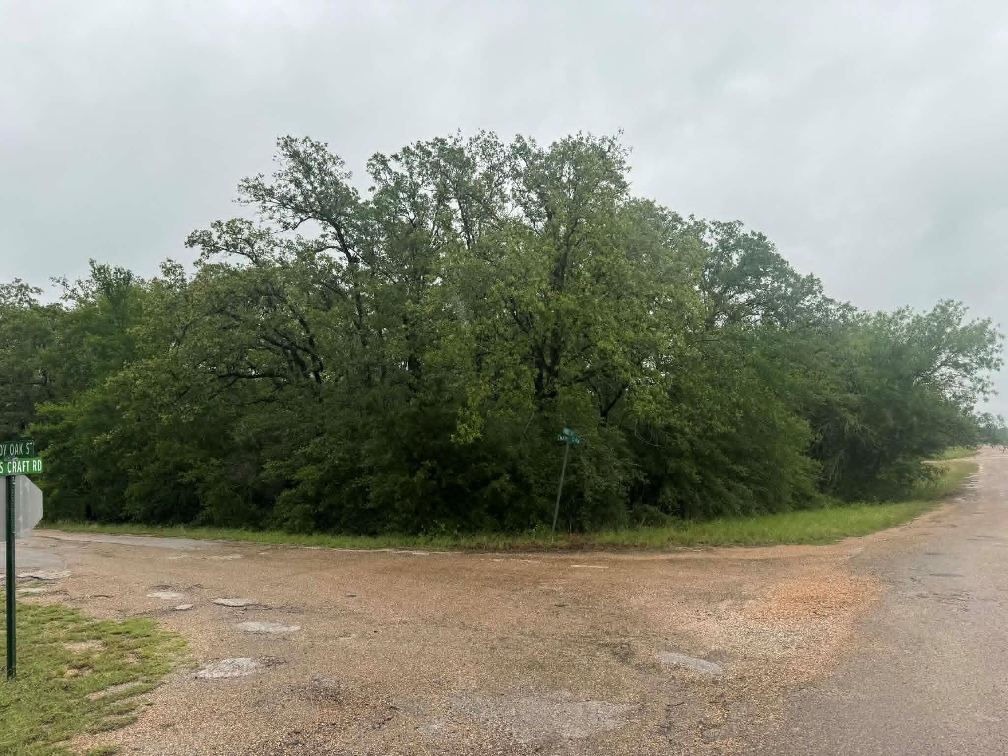 319 Shady Oak St, Somerville, TX 77879