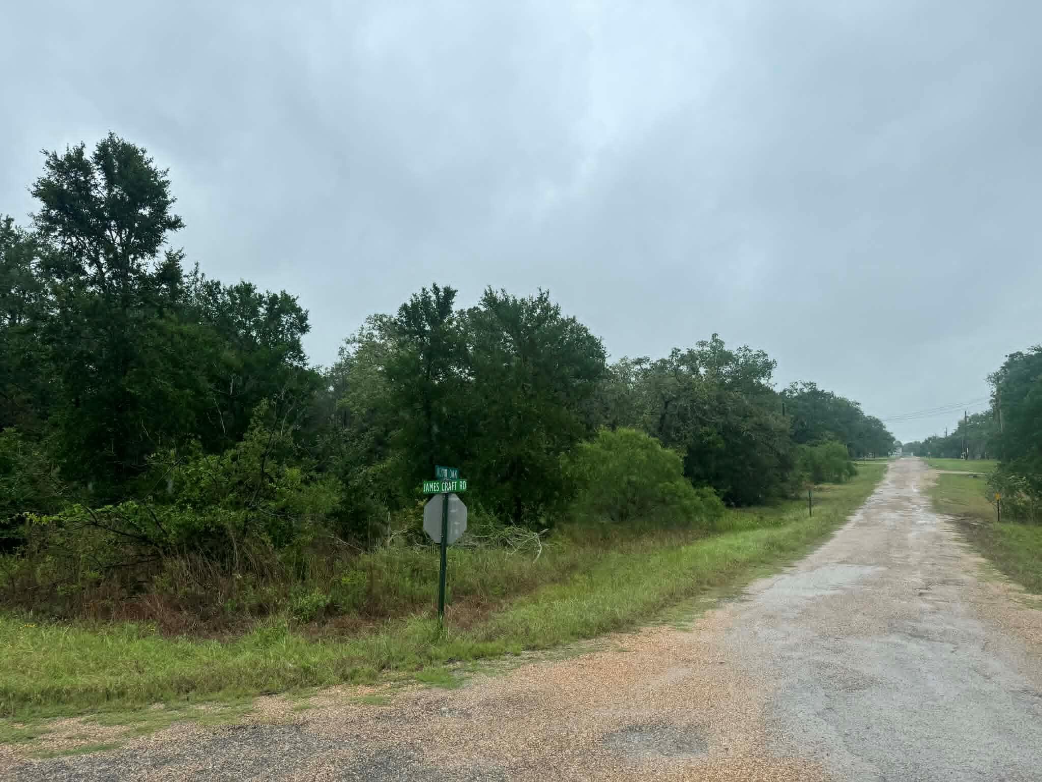 319 Shady Oak St, Somerville, TX 77879
