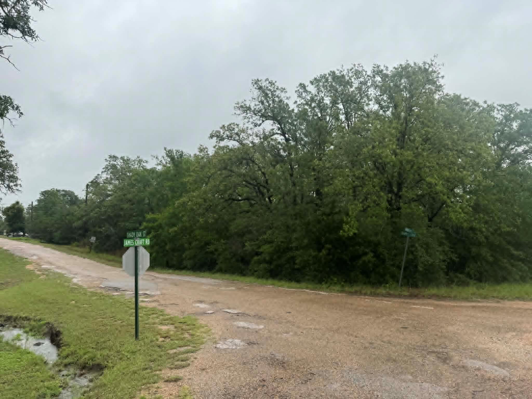 319 Shady Oak St, Somerville, TX 77879