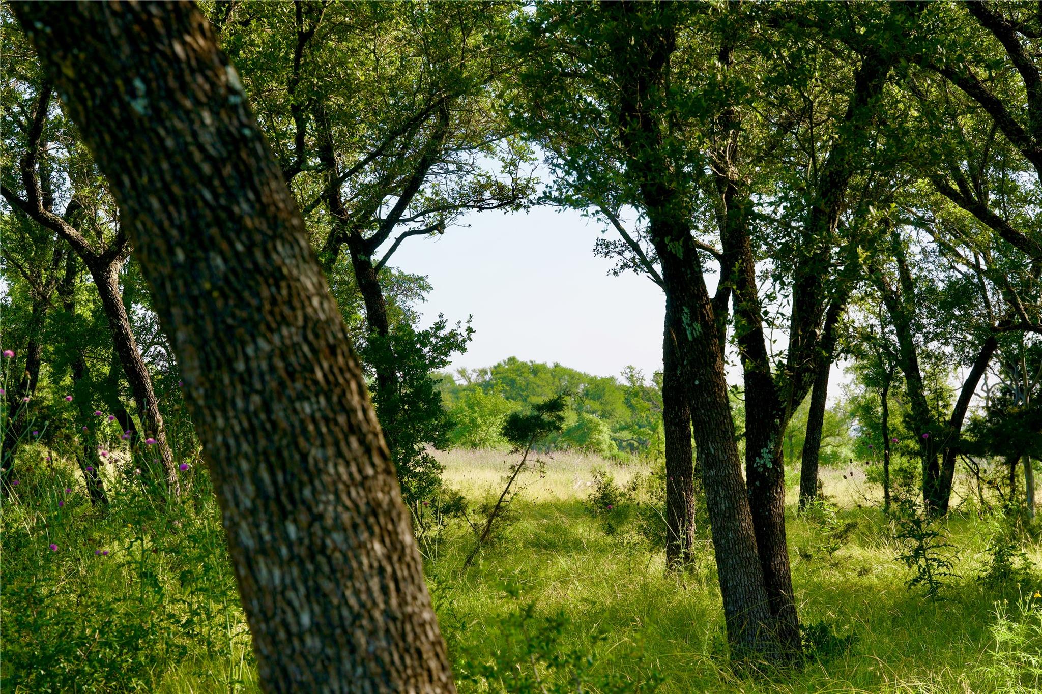 8845 Fm 2657, Briggs, TX 78608