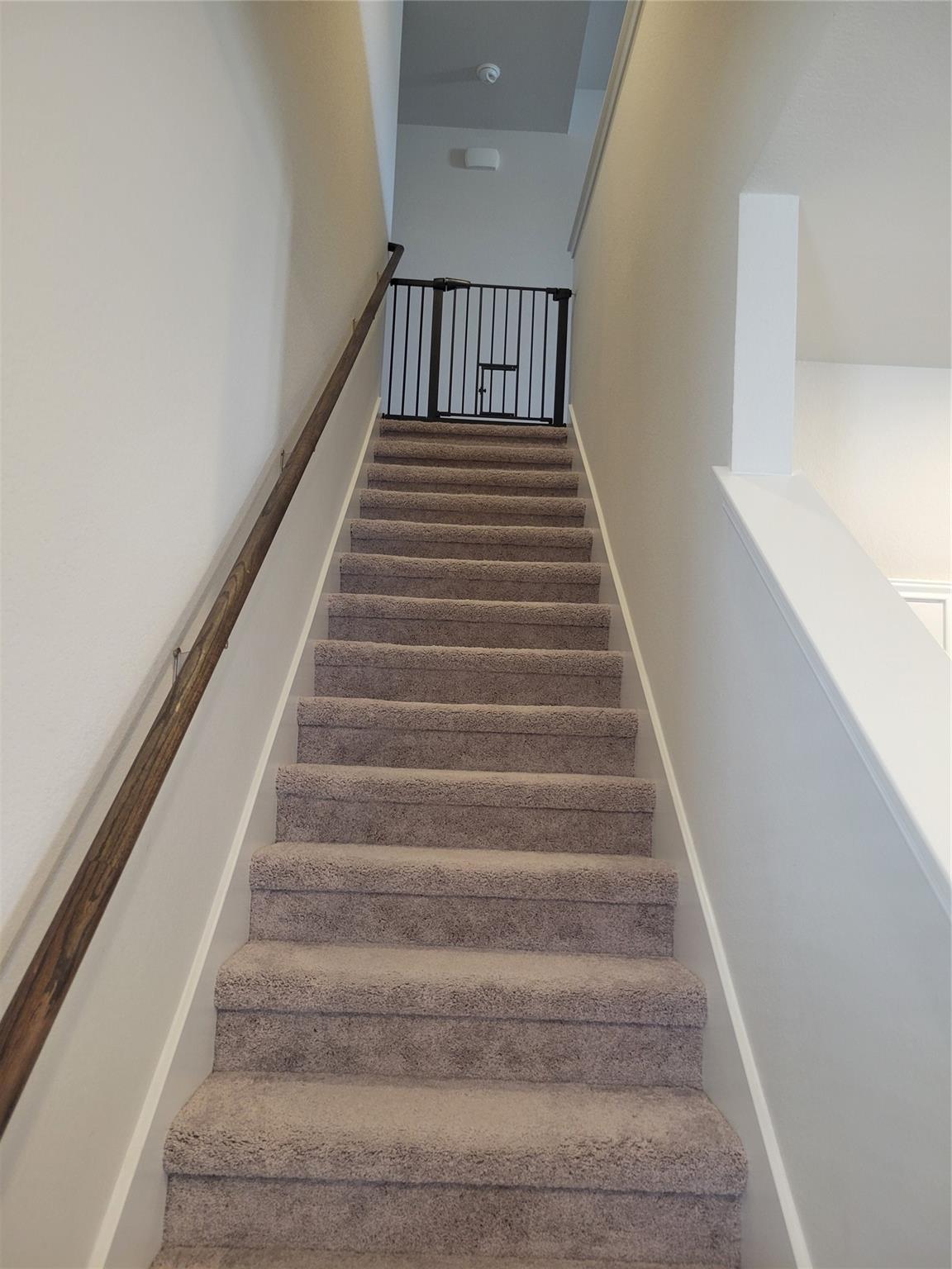 1850 Settlers Glen Dr # 2501, Round Rock, TX 78665