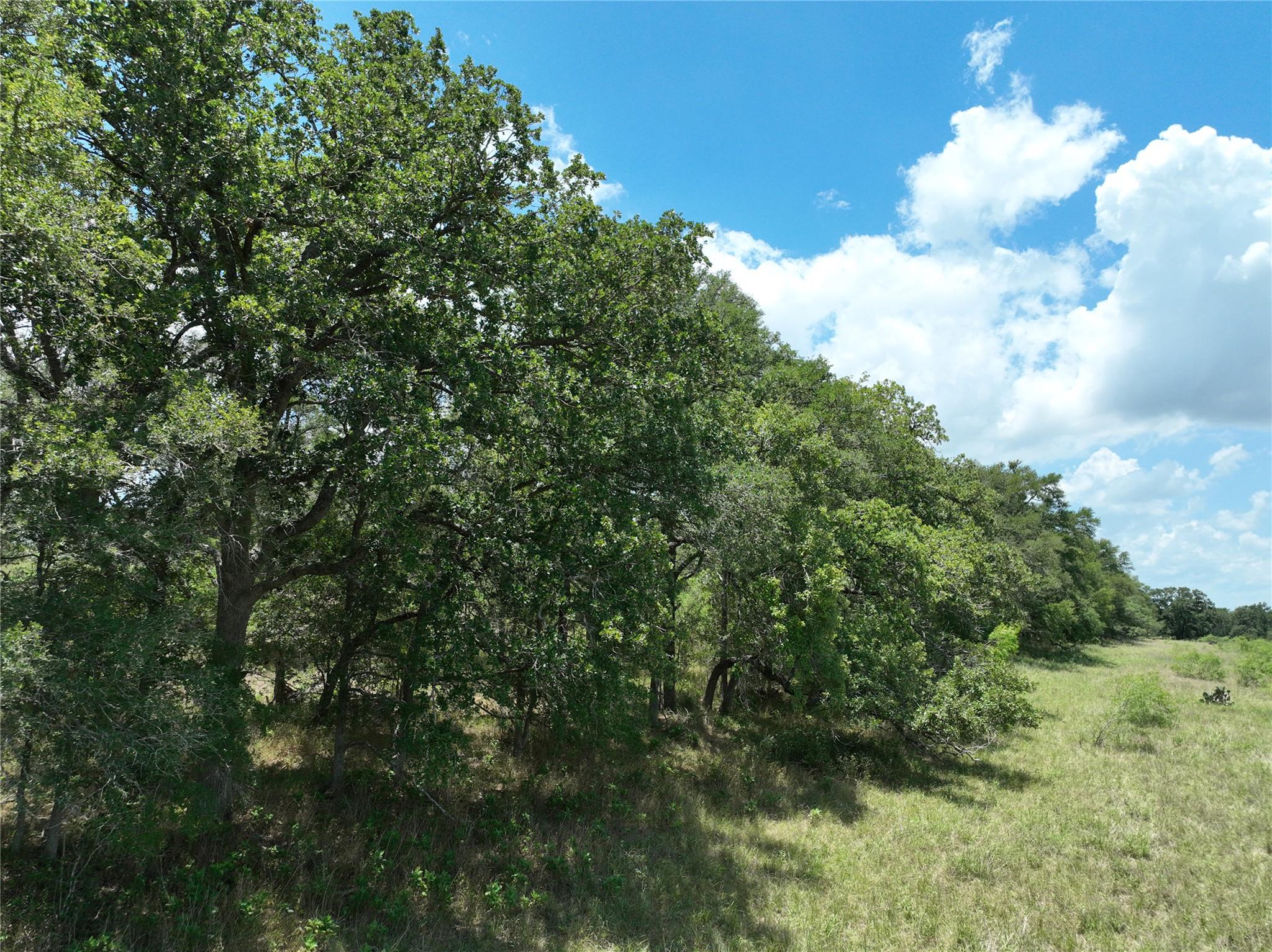 TBD Lot 4 Pettytown Rd, Dale, TX 78616