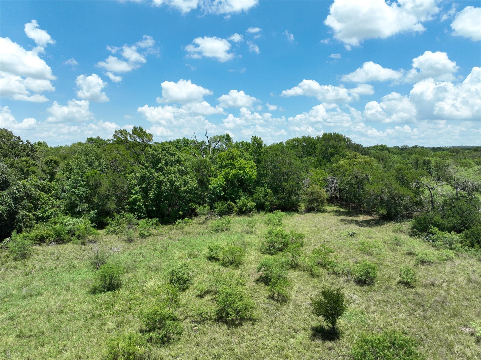 TBD Lot 4 Pettytown Rd, Dale, TX 78616