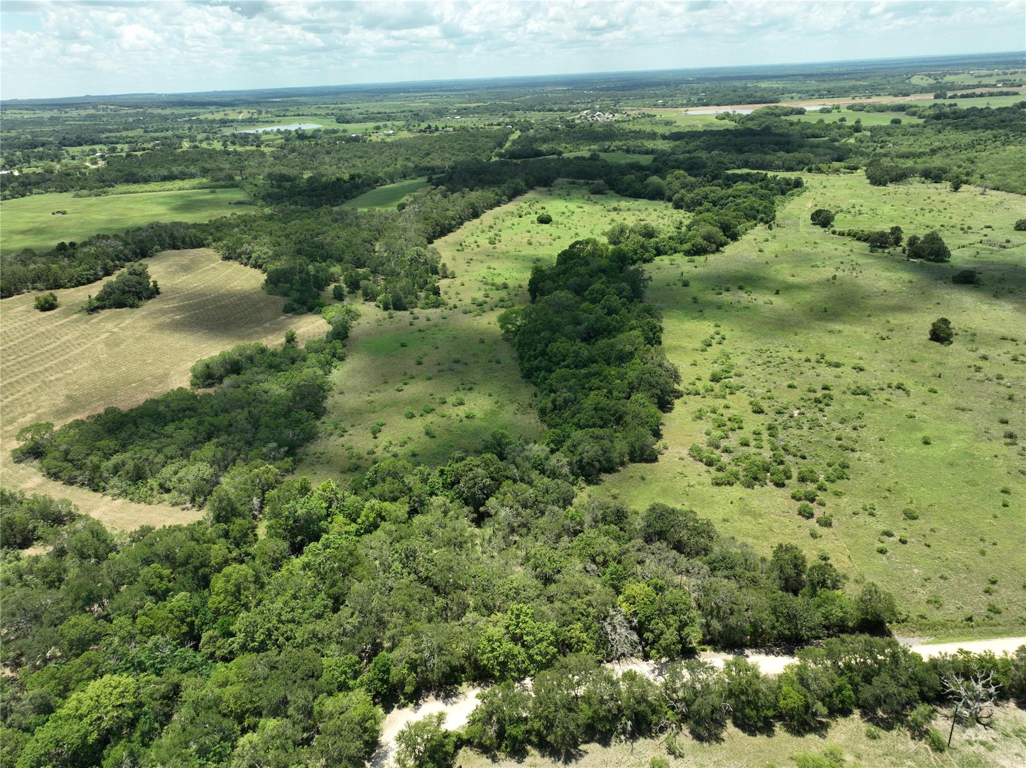 TBD Lot 4 Pettytown Rd, Dale, TX 78616