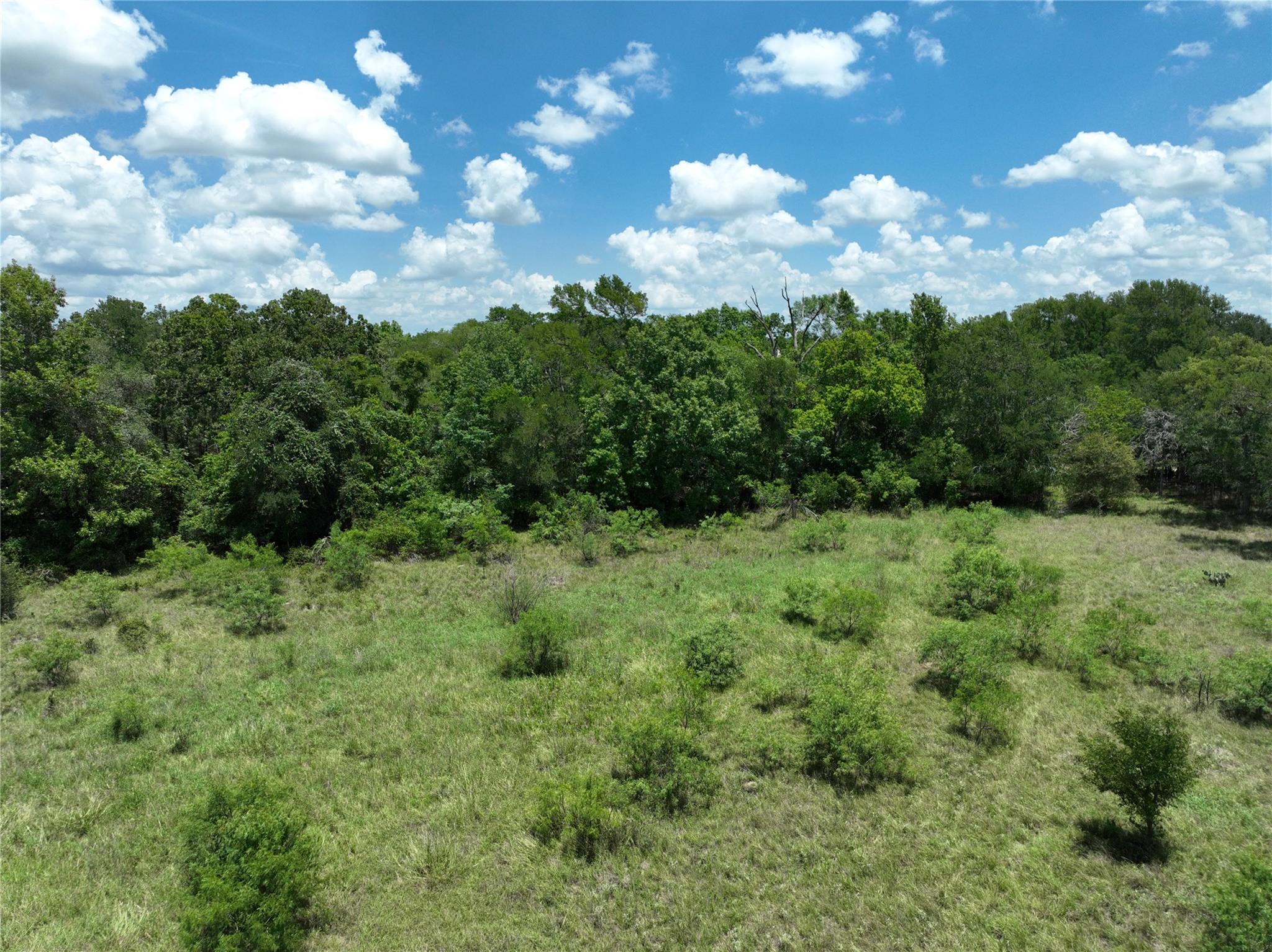 TBD Lot 4 Pettytown Rd, Dale, TX 78616