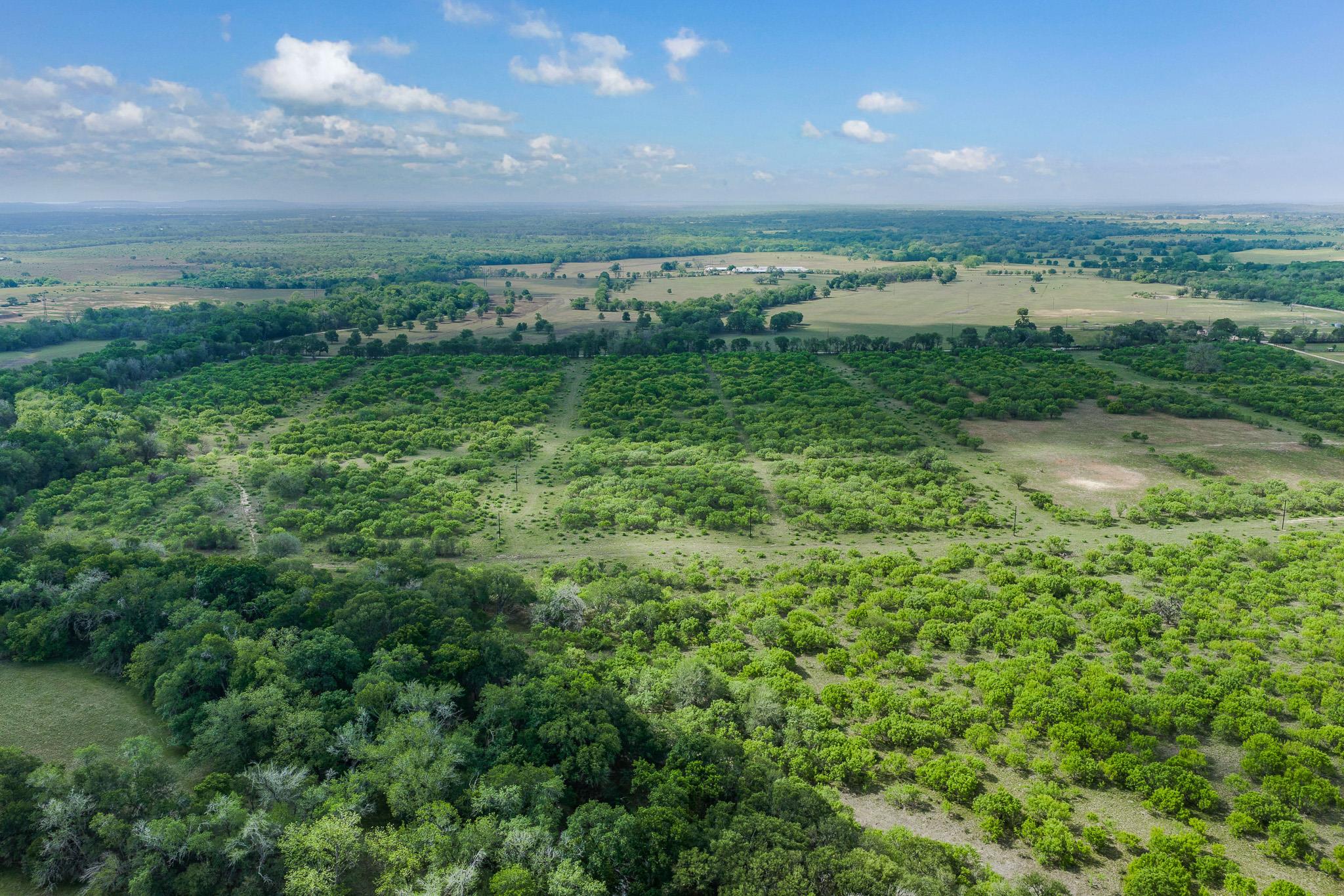 TBD Lot 2 Young Ln, Lockhart, TX 78662