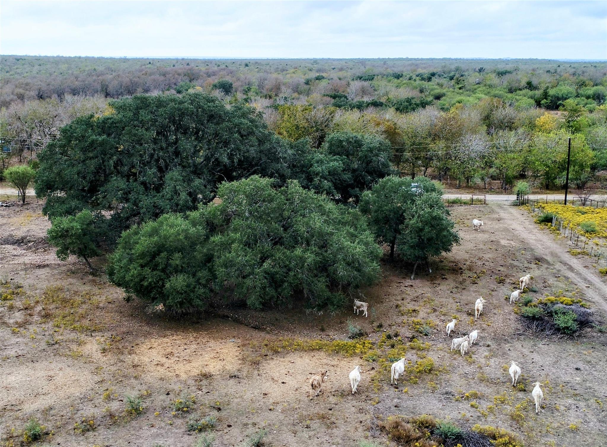 387 Black Watch Ln, Lockhart, TX 78644