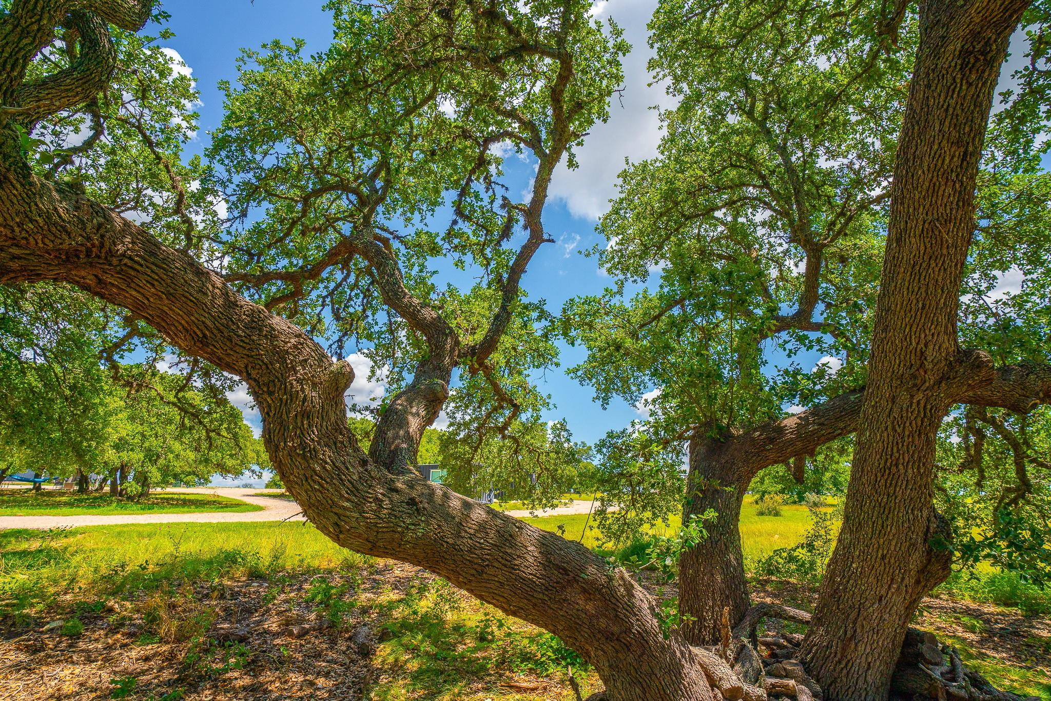 8502 E Us 290, Johnson City, TX 78636