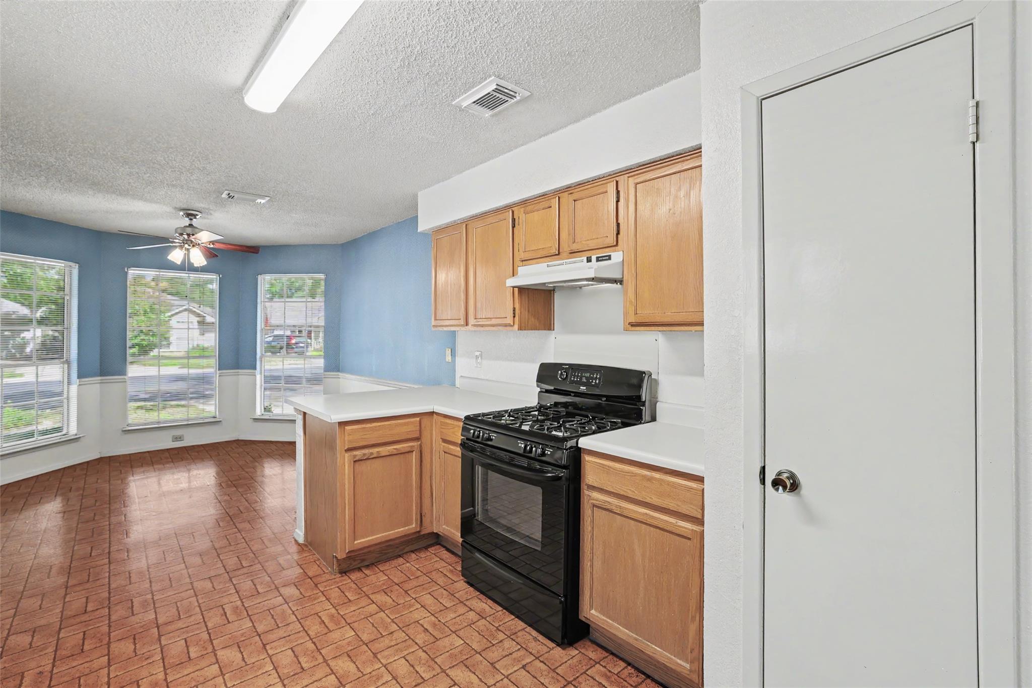 16819 Whitebrush Loop, Austin, TX 78717