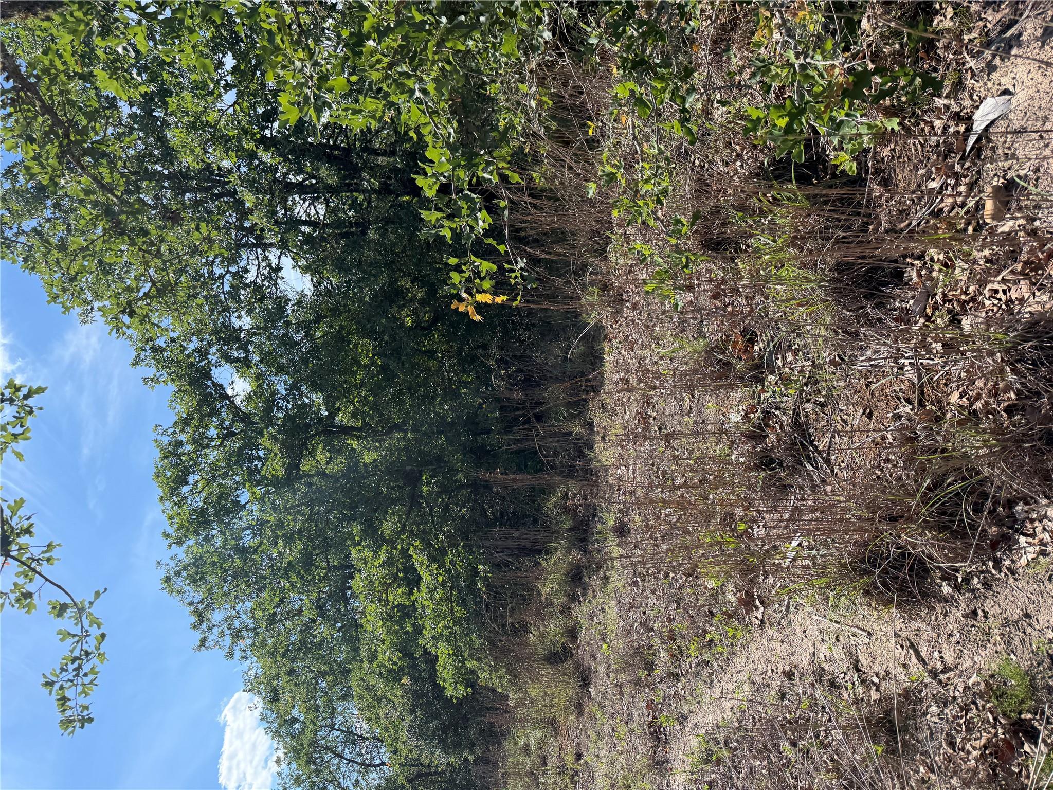 TBD Mockingbird Ln, Bastrop, TX 78602