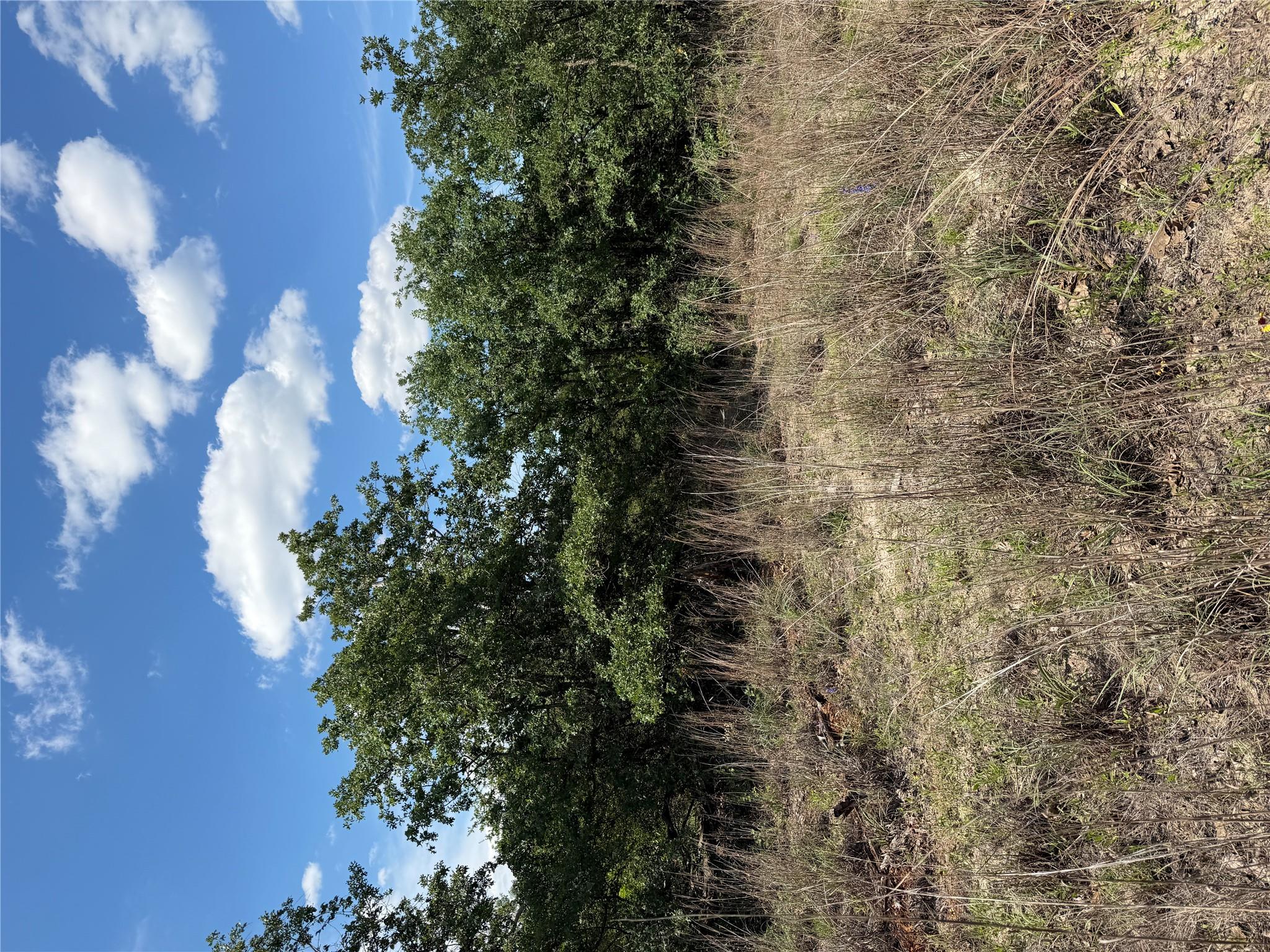 TBD Mockingbird Ln, Bastrop, TX 78602