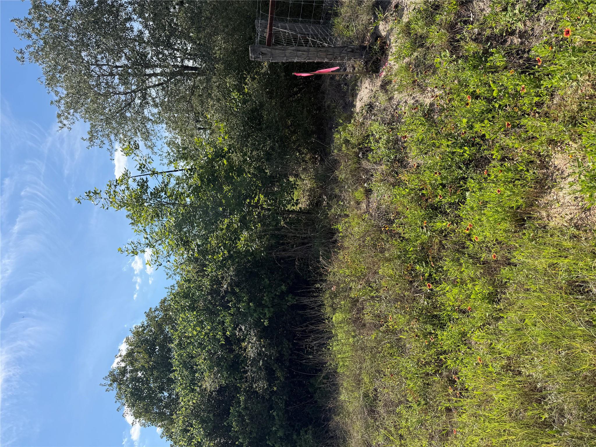 TBD Mockingbird Ln, Bastrop, TX 78602
