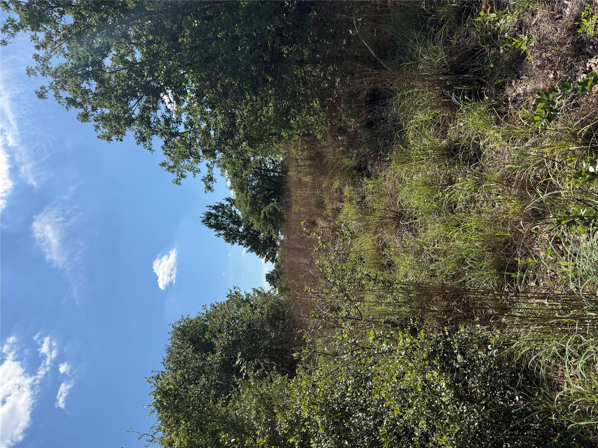TBD Mockingbird Ln, Bastrop, TX 78602