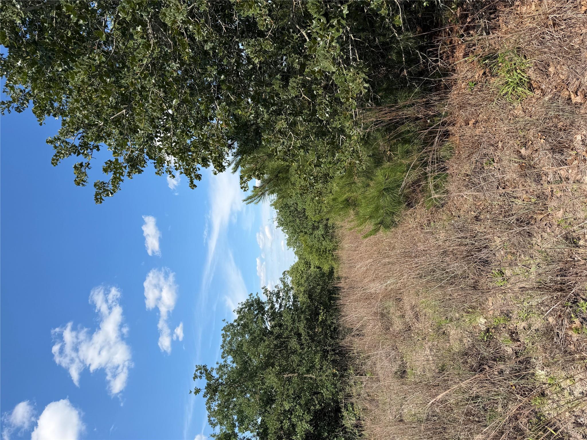 TBD Mockingbird Ln, Bastrop, TX 78602