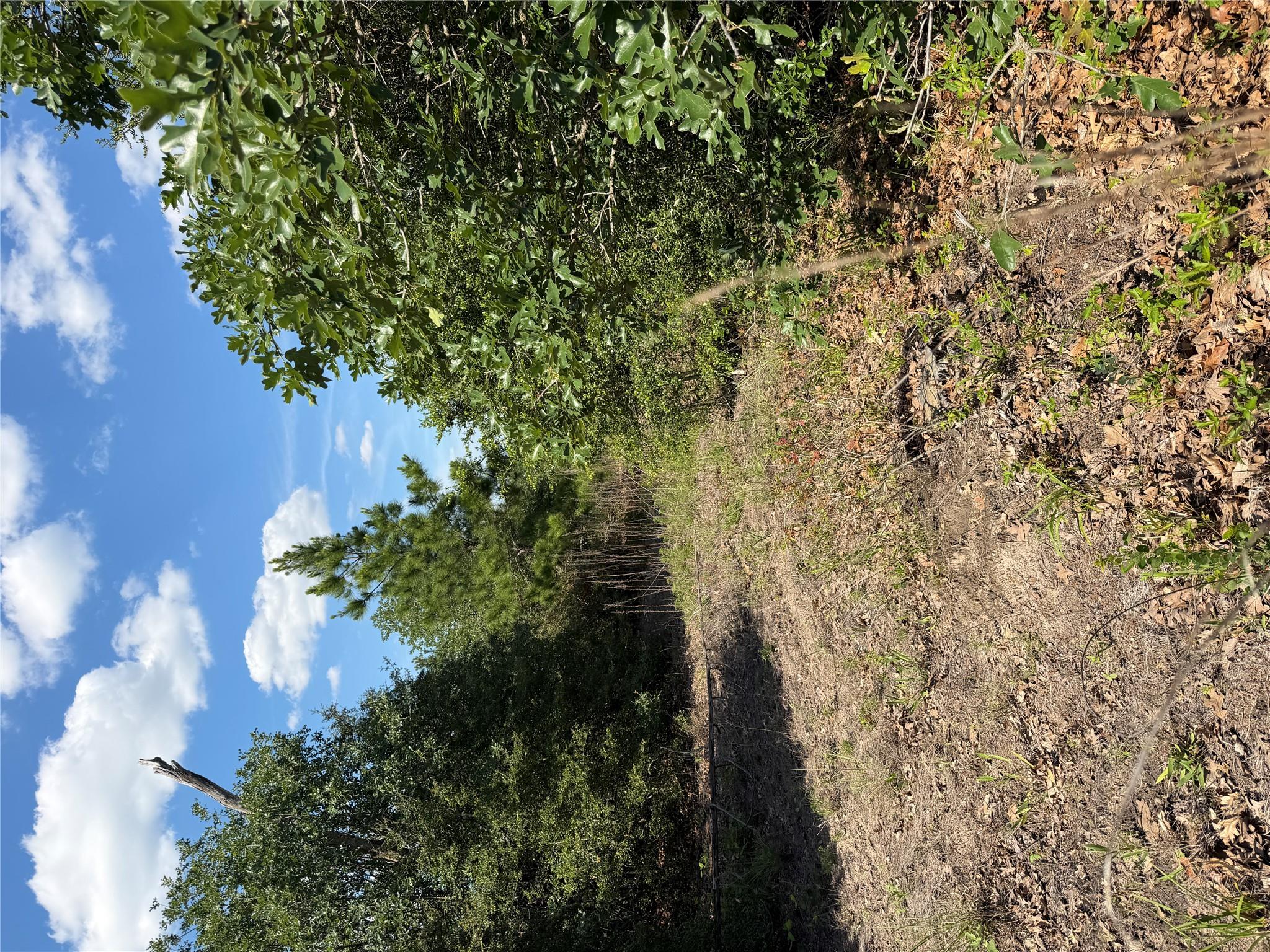 TBD Mockingbird Ln, Bastrop, TX 78602