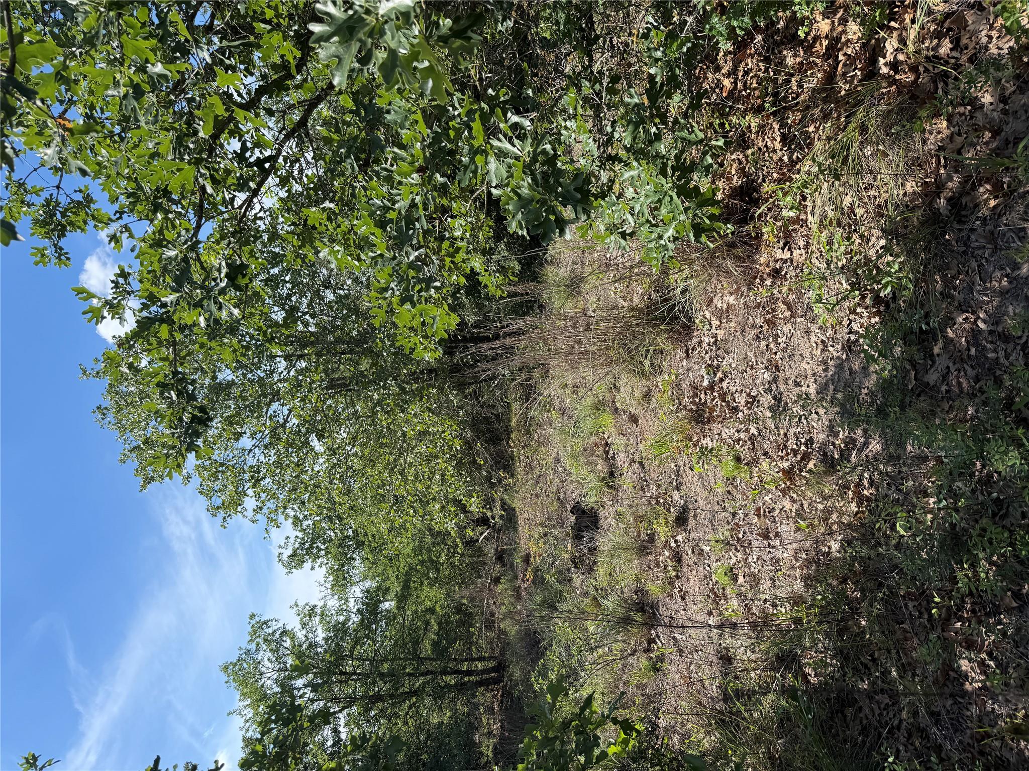 TBD Mockingbird Ln, Bastrop, TX 78602