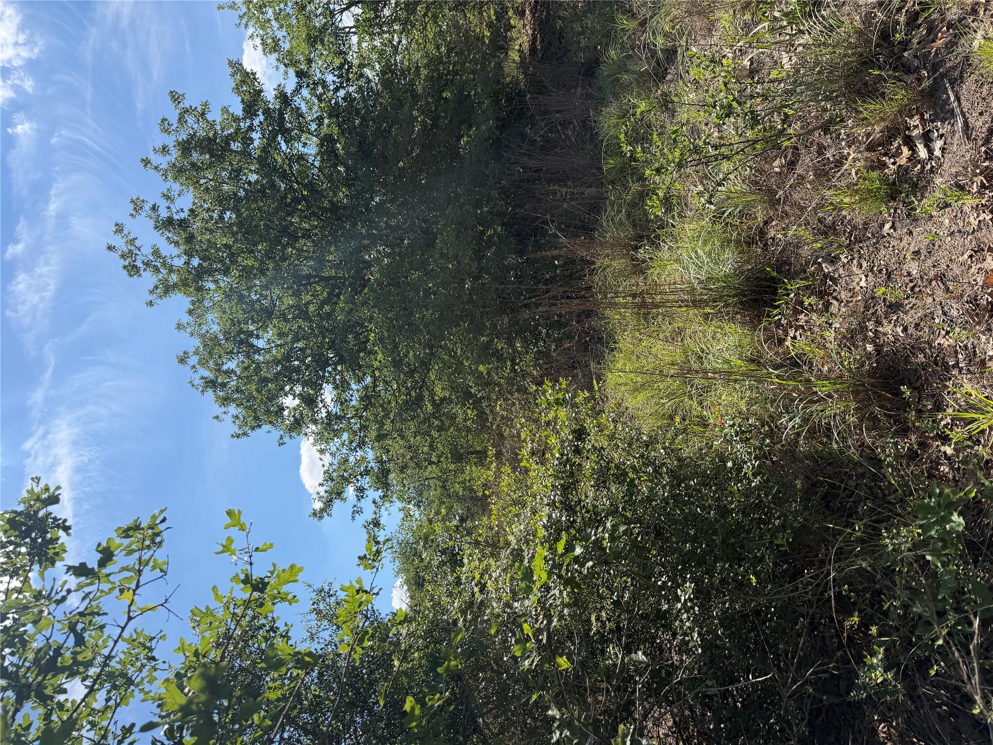 TBD Mockingbird Ln, Bastrop, TX 78602