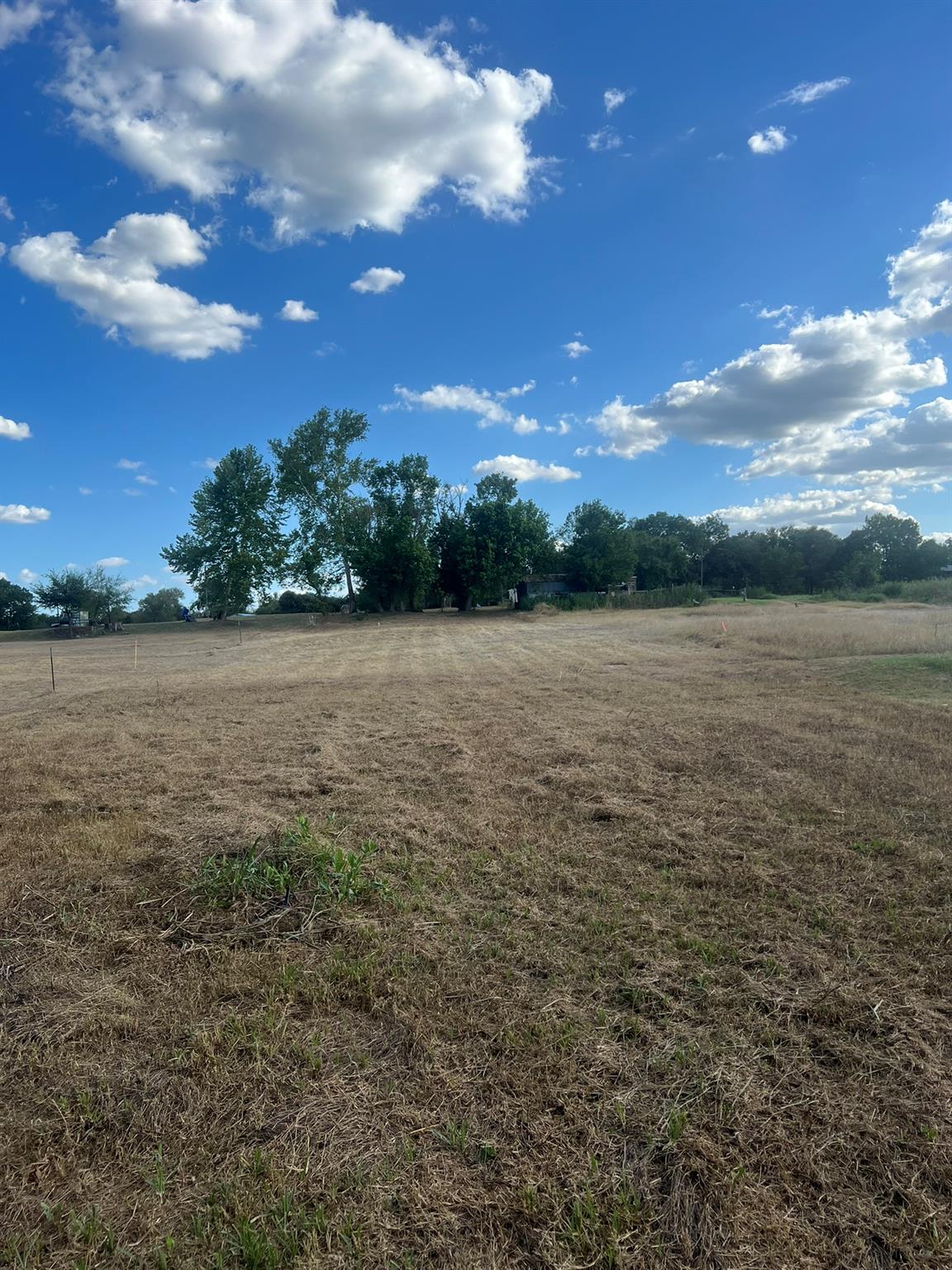 Smithville, TX 78957