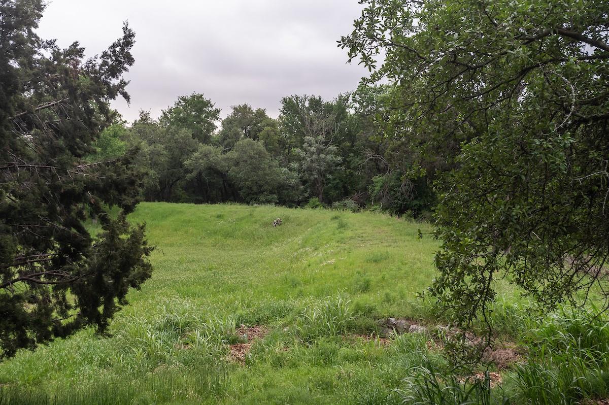 11513 Juniper Ridge Dr, Austin, TX 78759