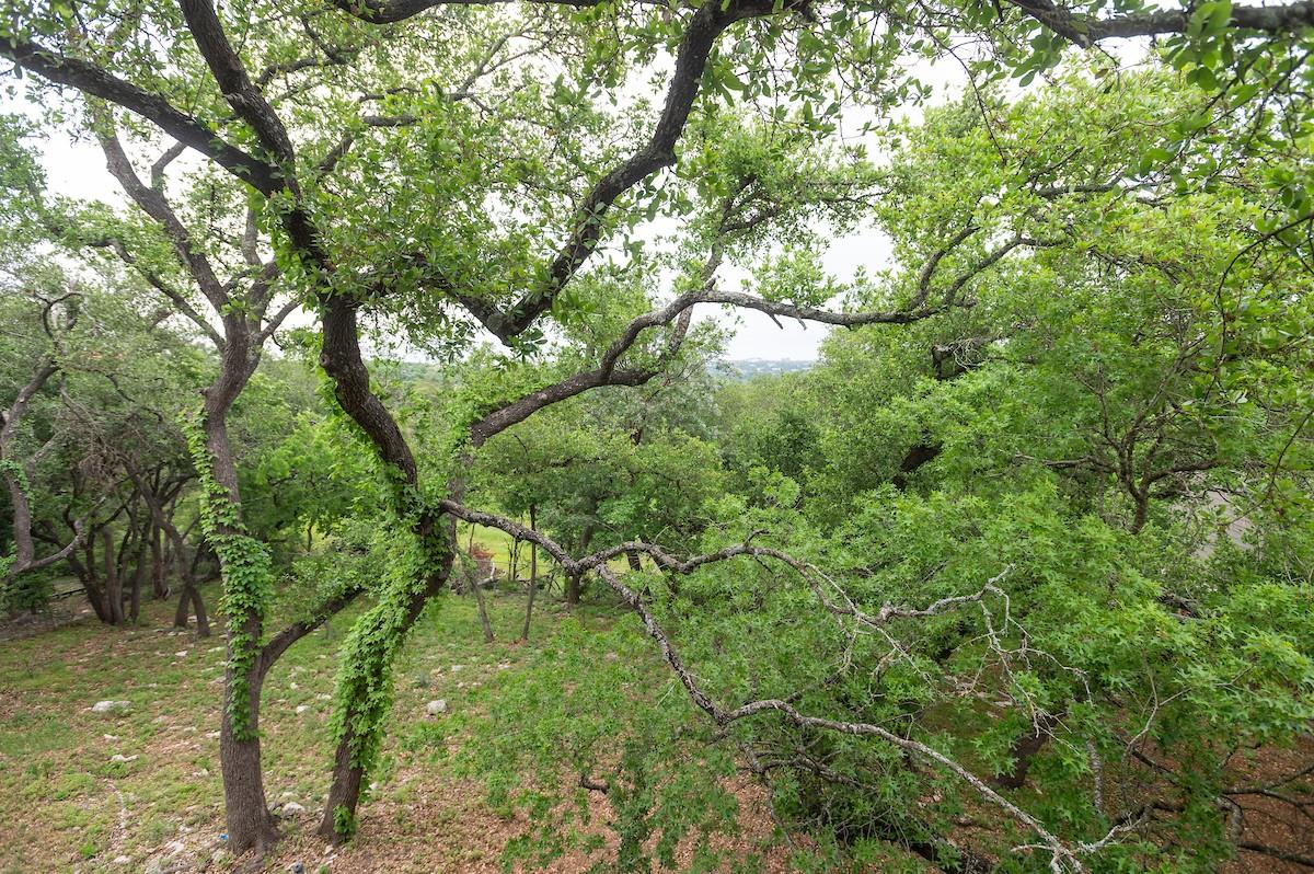 11513 Juniper Ridge Dr, Austin, TX 78759