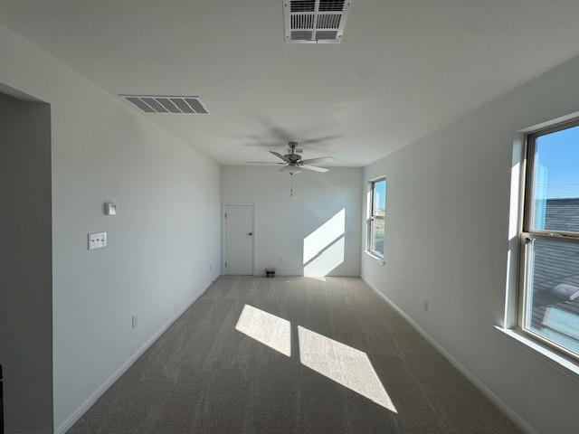 365 Papaya Dr, Buda, TX 78610