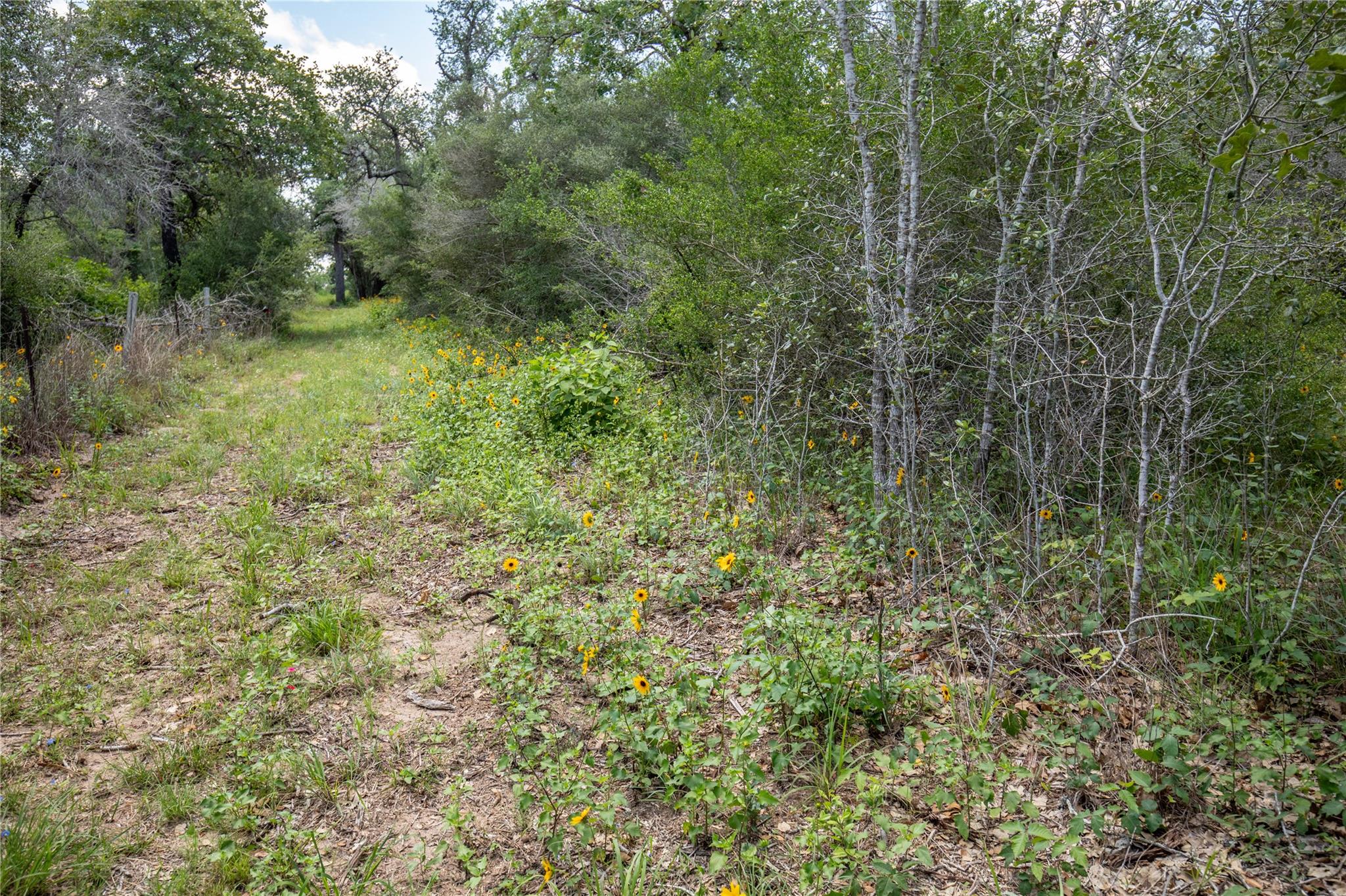 9393 Us Highway 87 E, Smiley, TX 77994