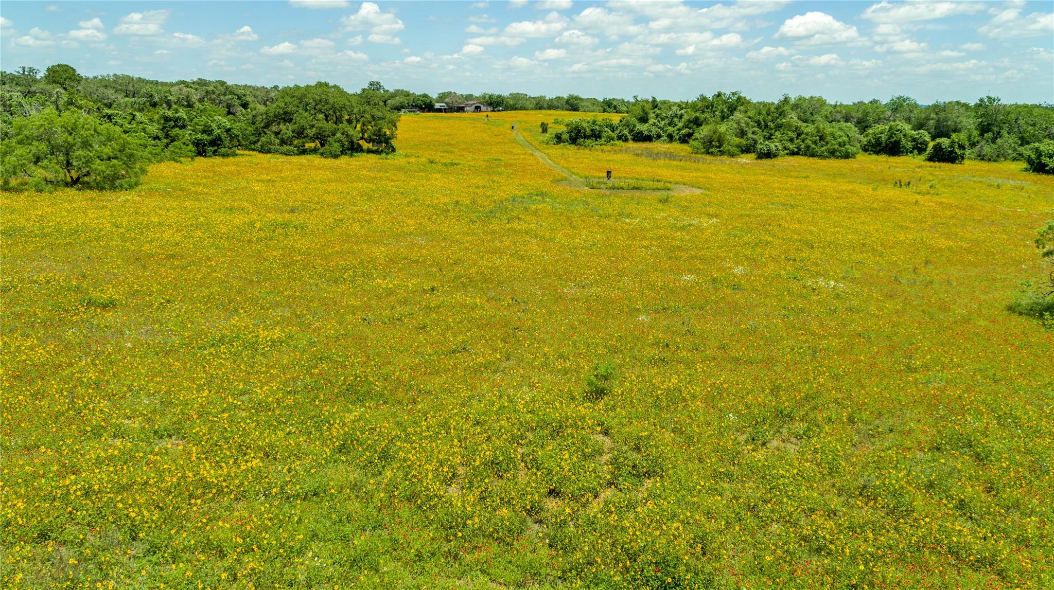 9393 Us Highway 87 E, Smiley, TX 77994
