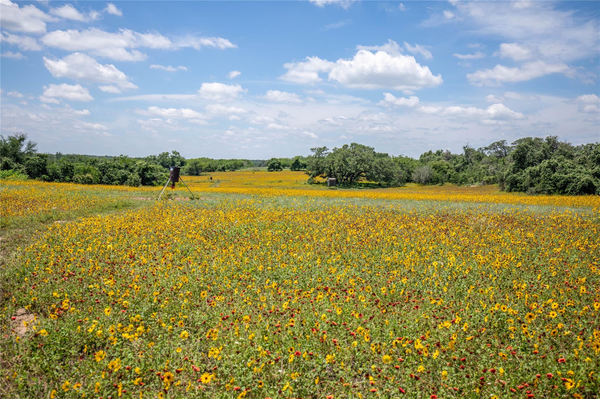 9393 Us Highway 87 E, Smiley, TX 77994