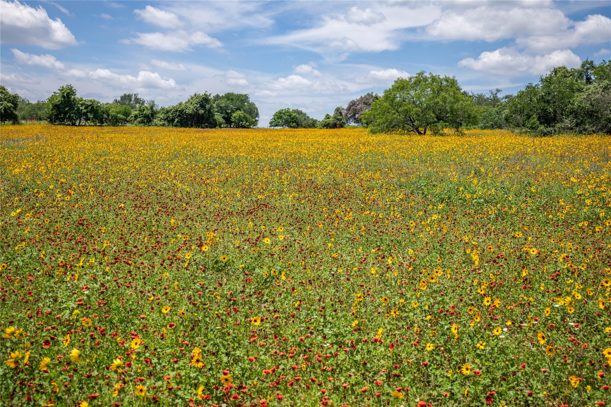 9393 Us Highway 87 E, Smiley, TX 77994