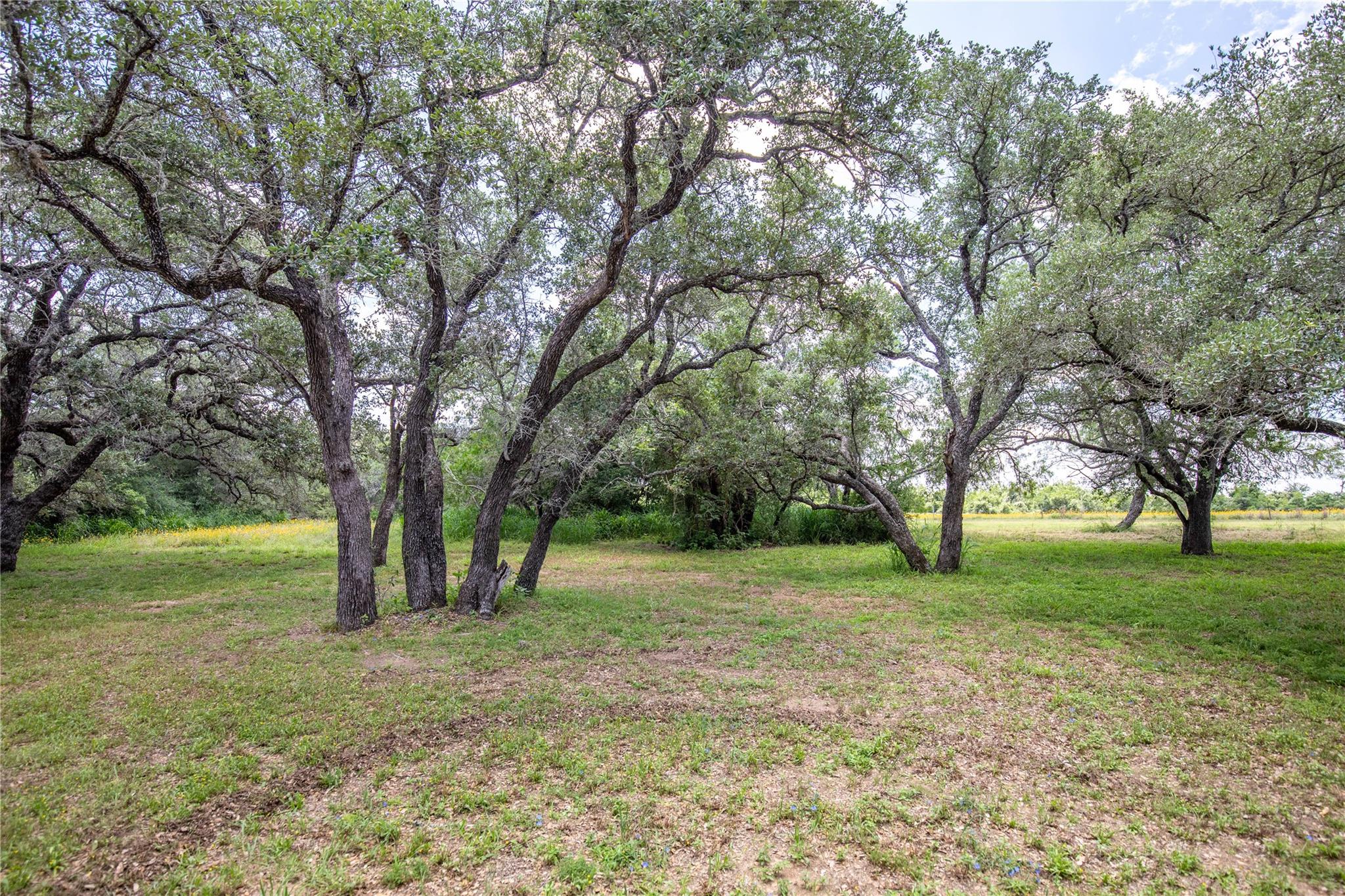 9393 Us Highway 87 E, Smiley, TX 77994