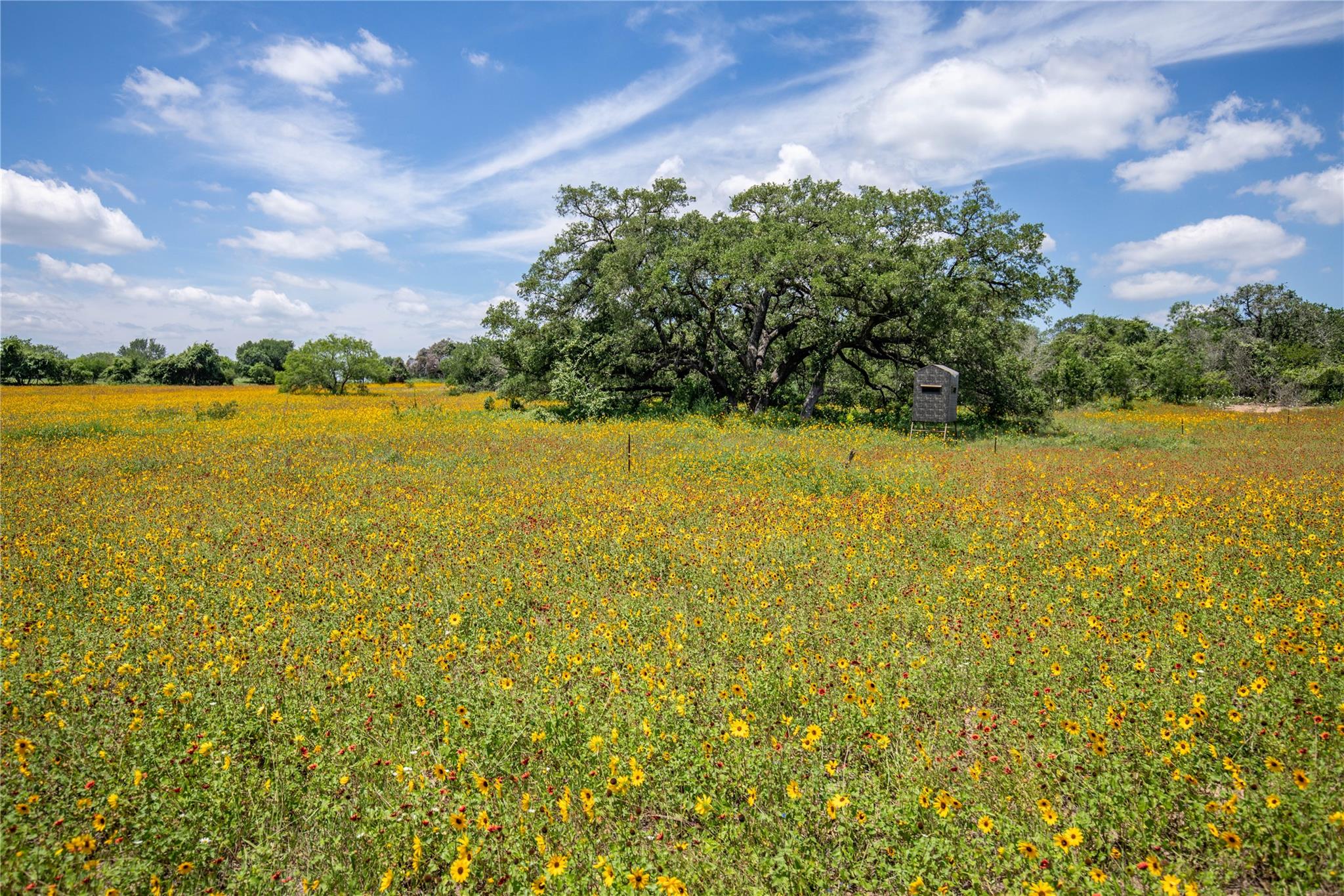 9393 Us Highway 87 E, Smiley, TX 77994