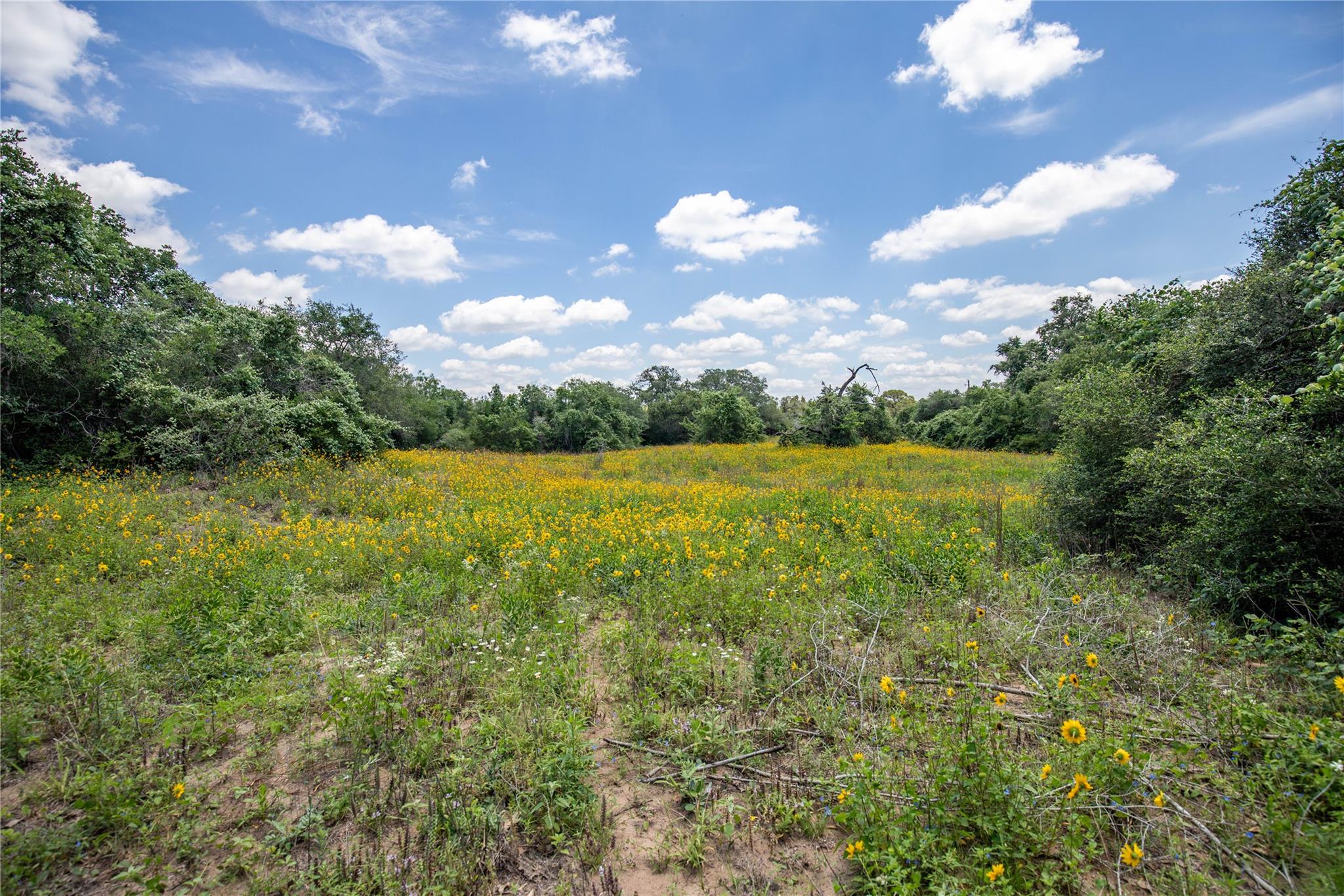 9393 Us Highway 87 E, Smiley, TX 77994