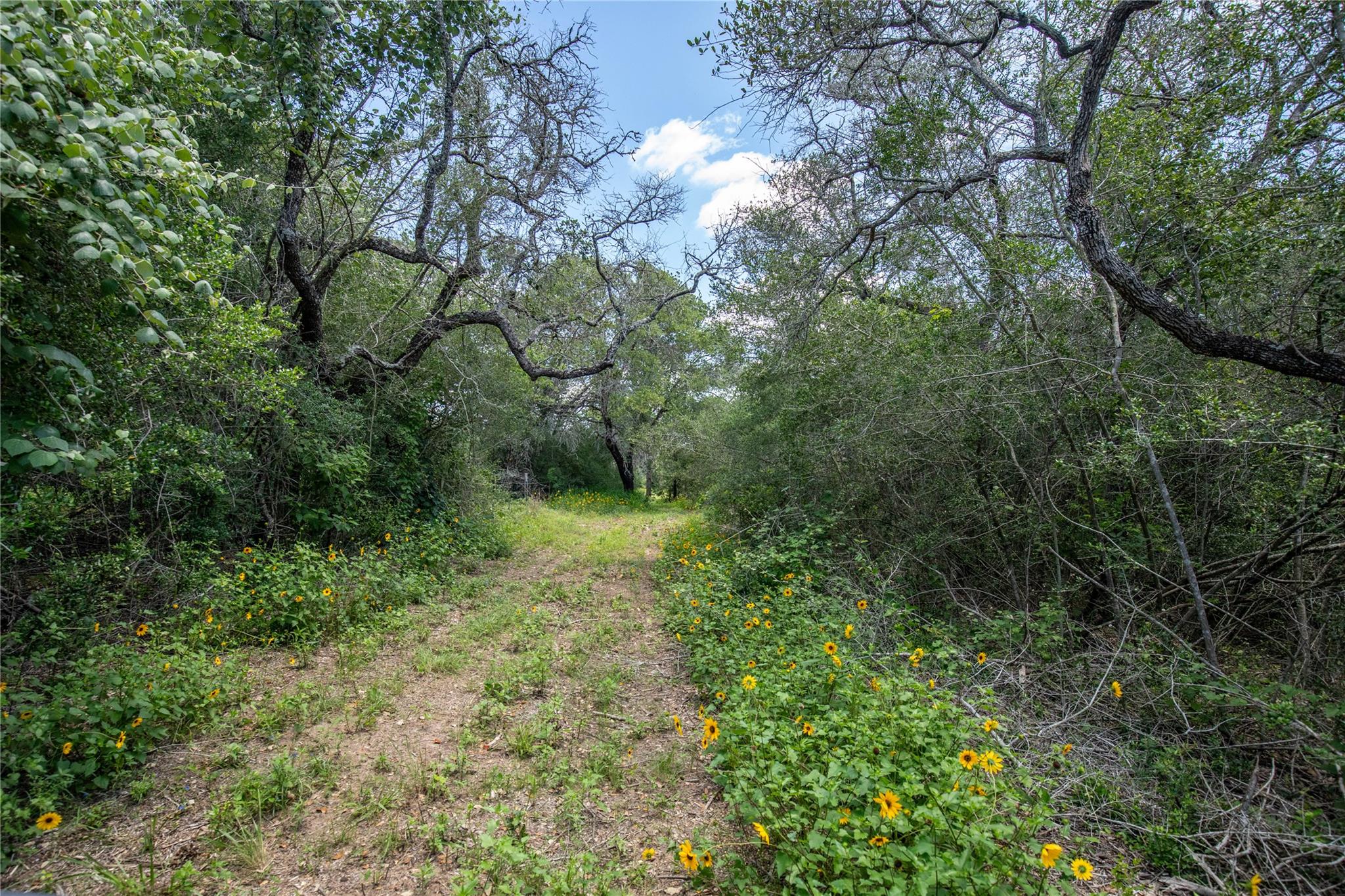 9393 Us Highway 87 E, Smiley, TX 77994