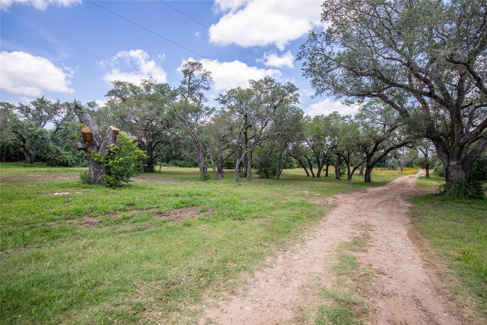 9393 Us Highway 87 E, Smiley, TX 77994