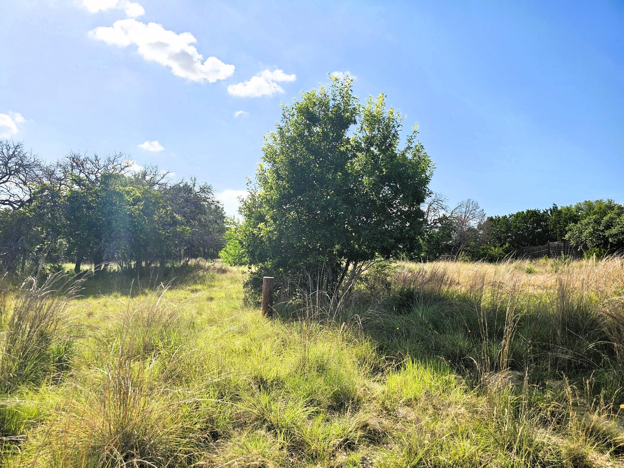 100 Reavis Dr, Kempner, TX 76539