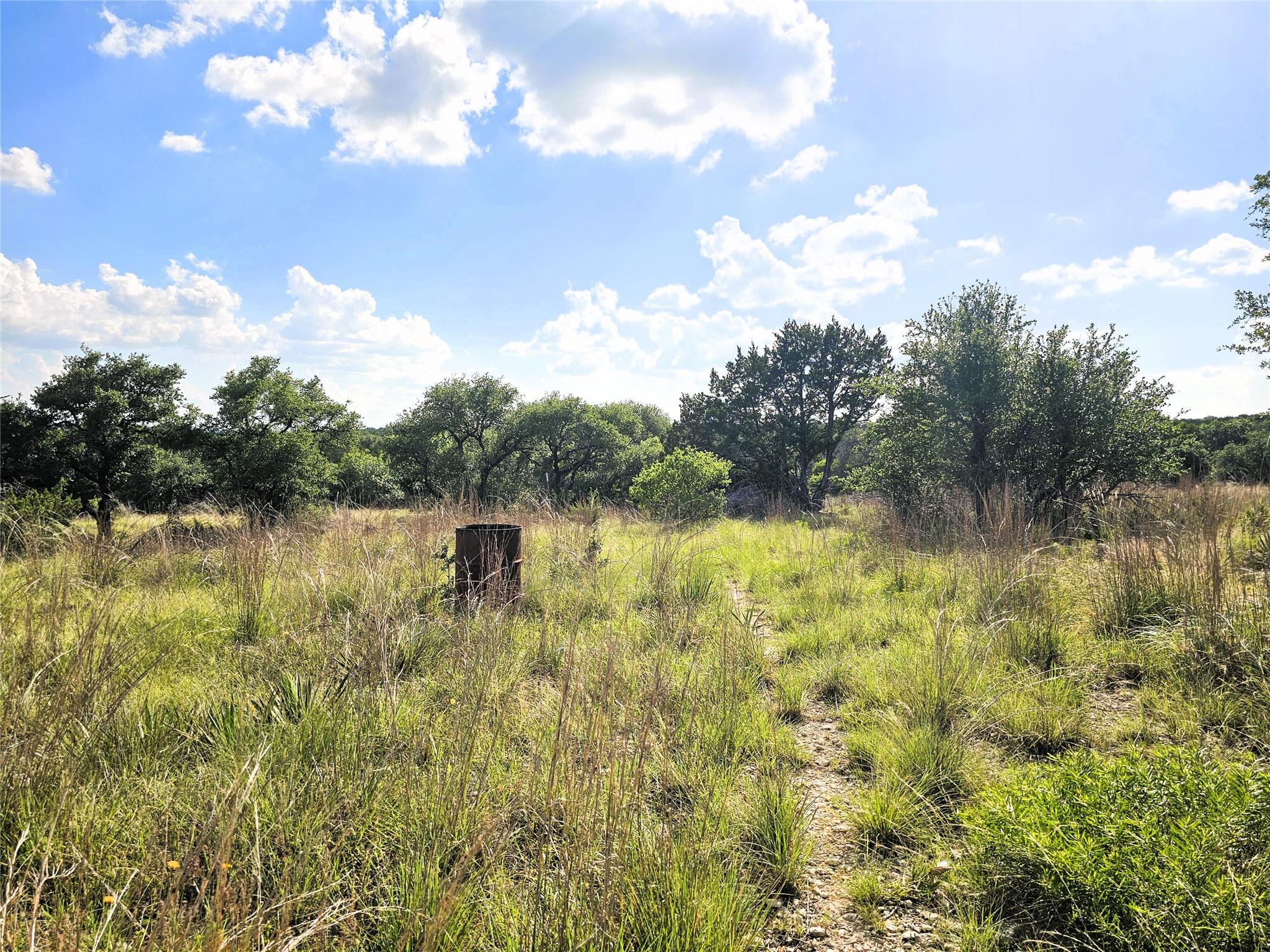 100 Reavis Dr, Kempner, TX 76539