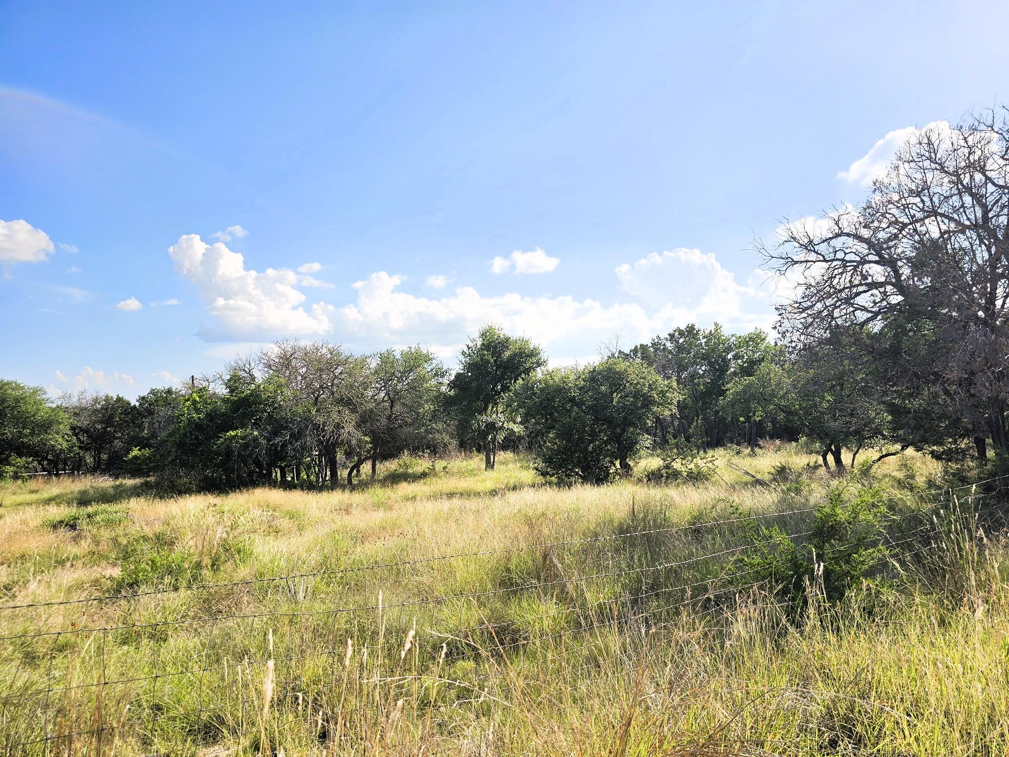 100 Reavis Dr, Kempner, TX 76539